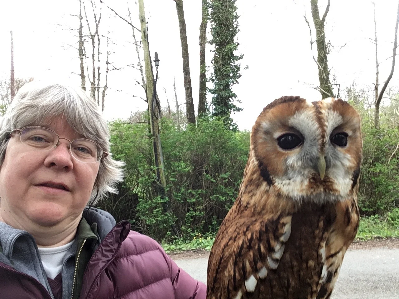 A falconer will introduce you to a variety of birds of prey, and you will get to fly a hawk and hold an owl.