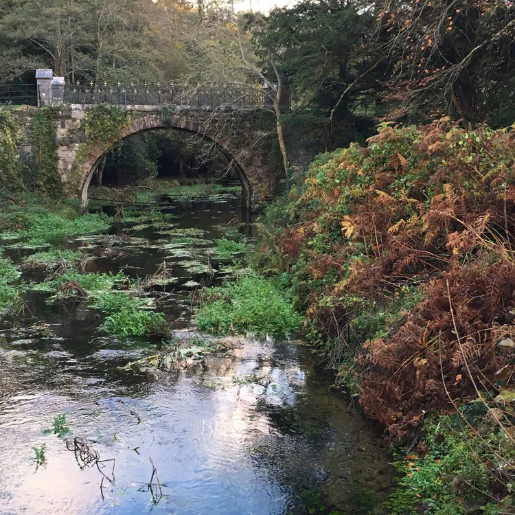 Killarney National Park.jpg