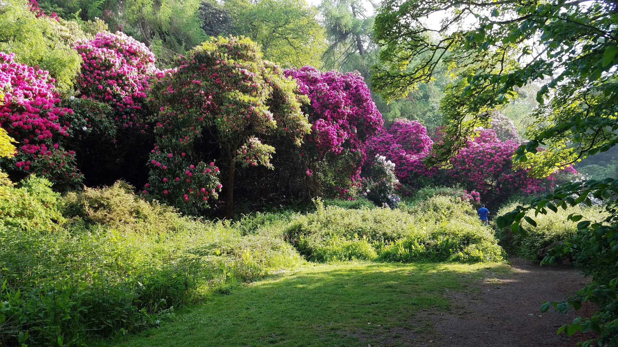 Entering the garden