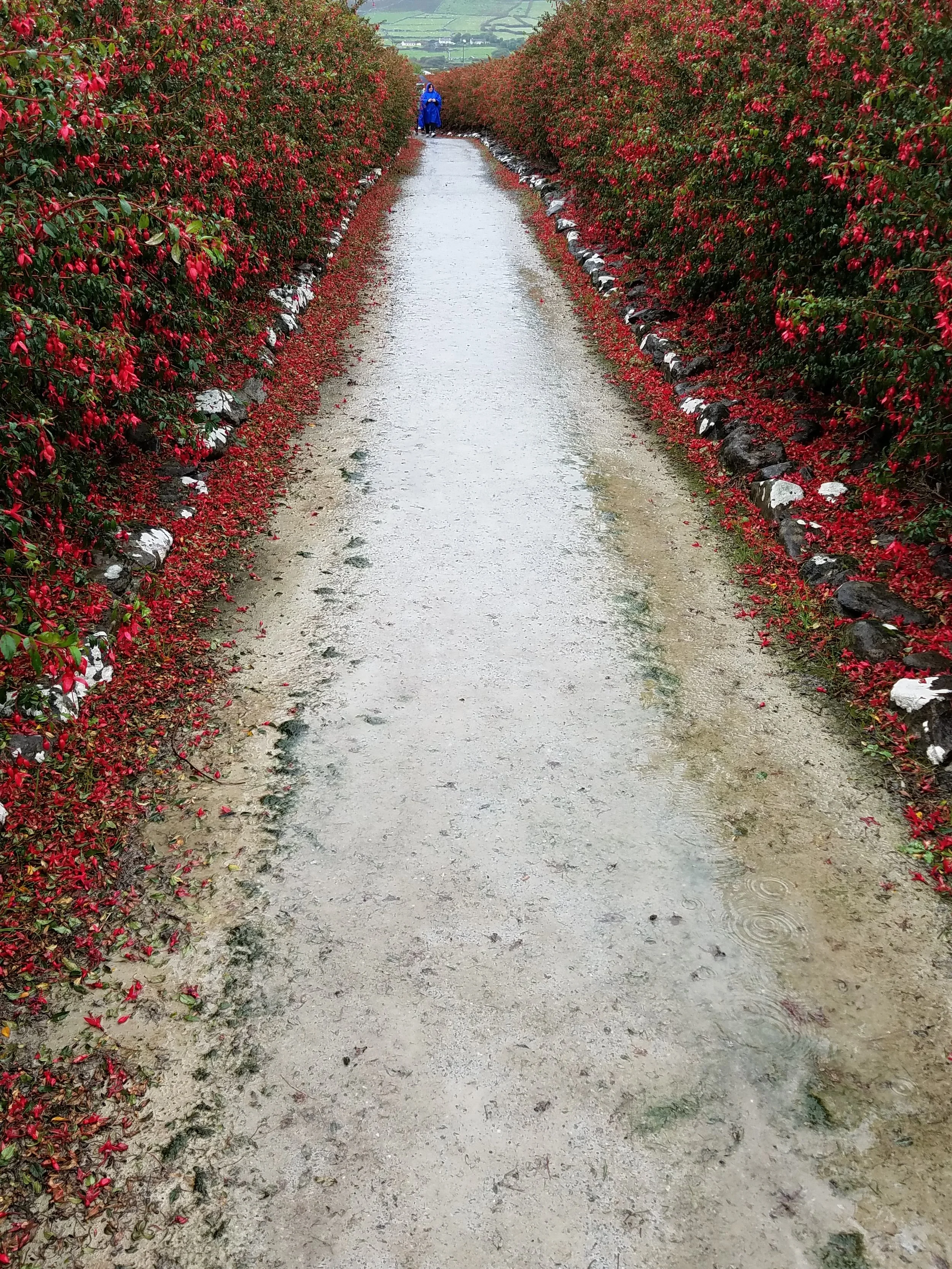 20180920_140748.jpg