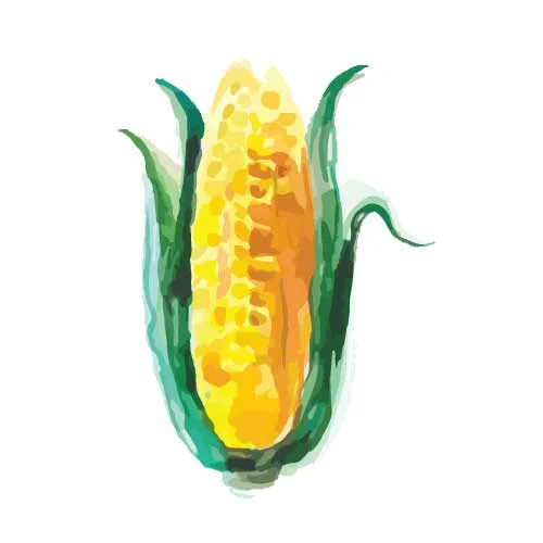 HERITAGE CORN CORPORATE - $1,000+