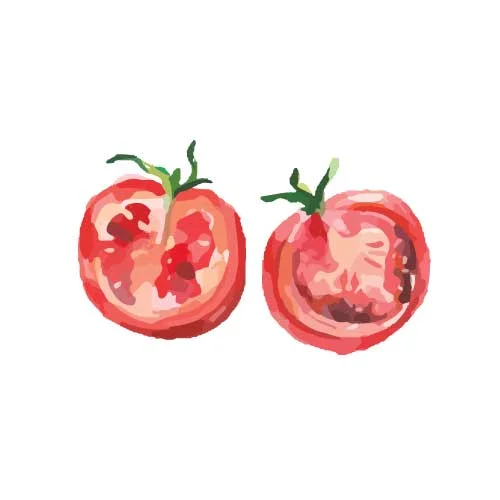 TOMATO LEVEL - $500