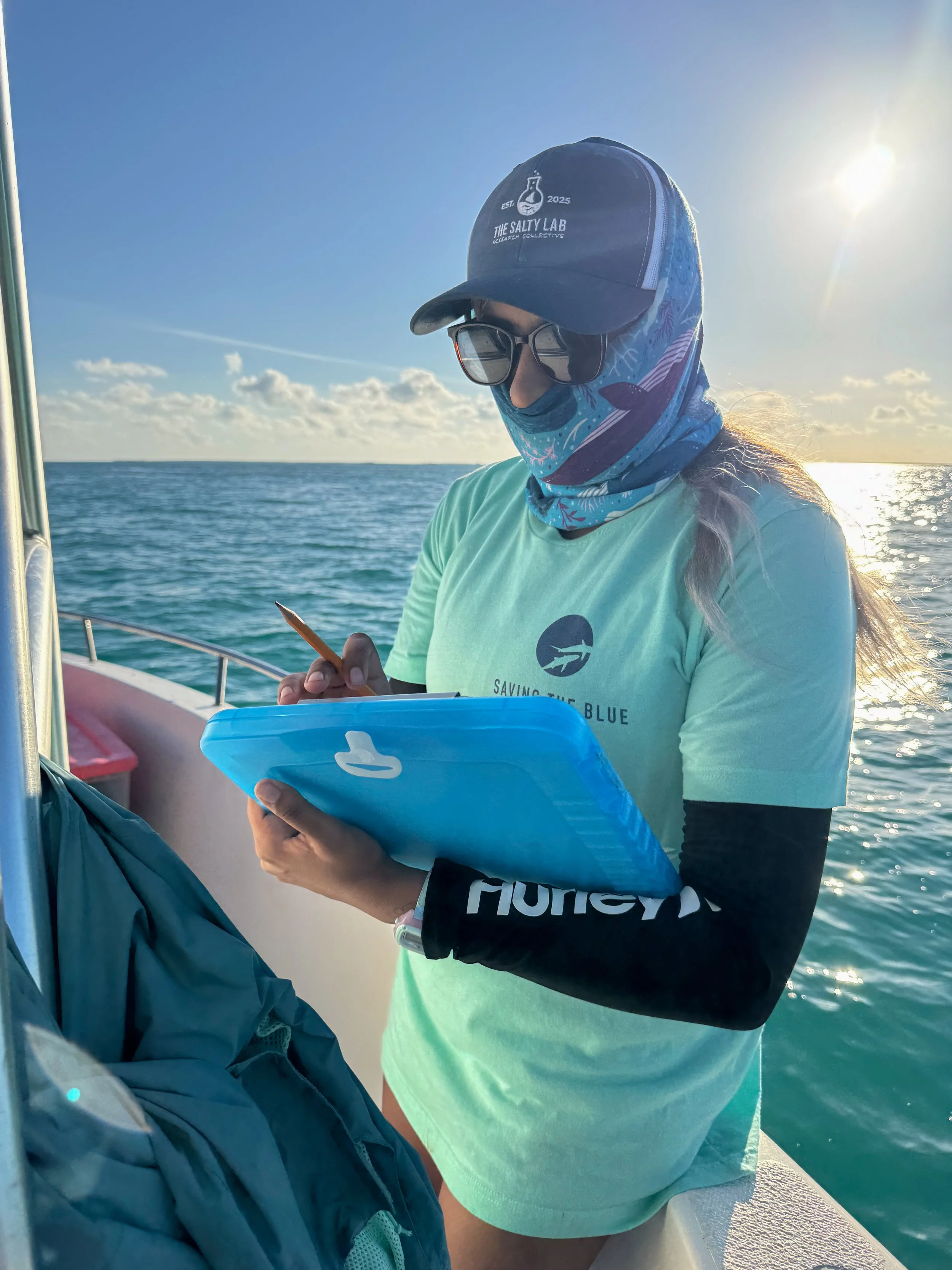 Saving the Blue - 501 c 3 - Nonprofit - Sharks - Shark - Shark Tag - Shark Tagging - Marine Biology - Shark Research - Bahamas - Florida - Shark Researcher - Shark Clothing - Shark Nonprofit - Help Sharks - Save Sharks - Hammerhead - Bull - Tiger