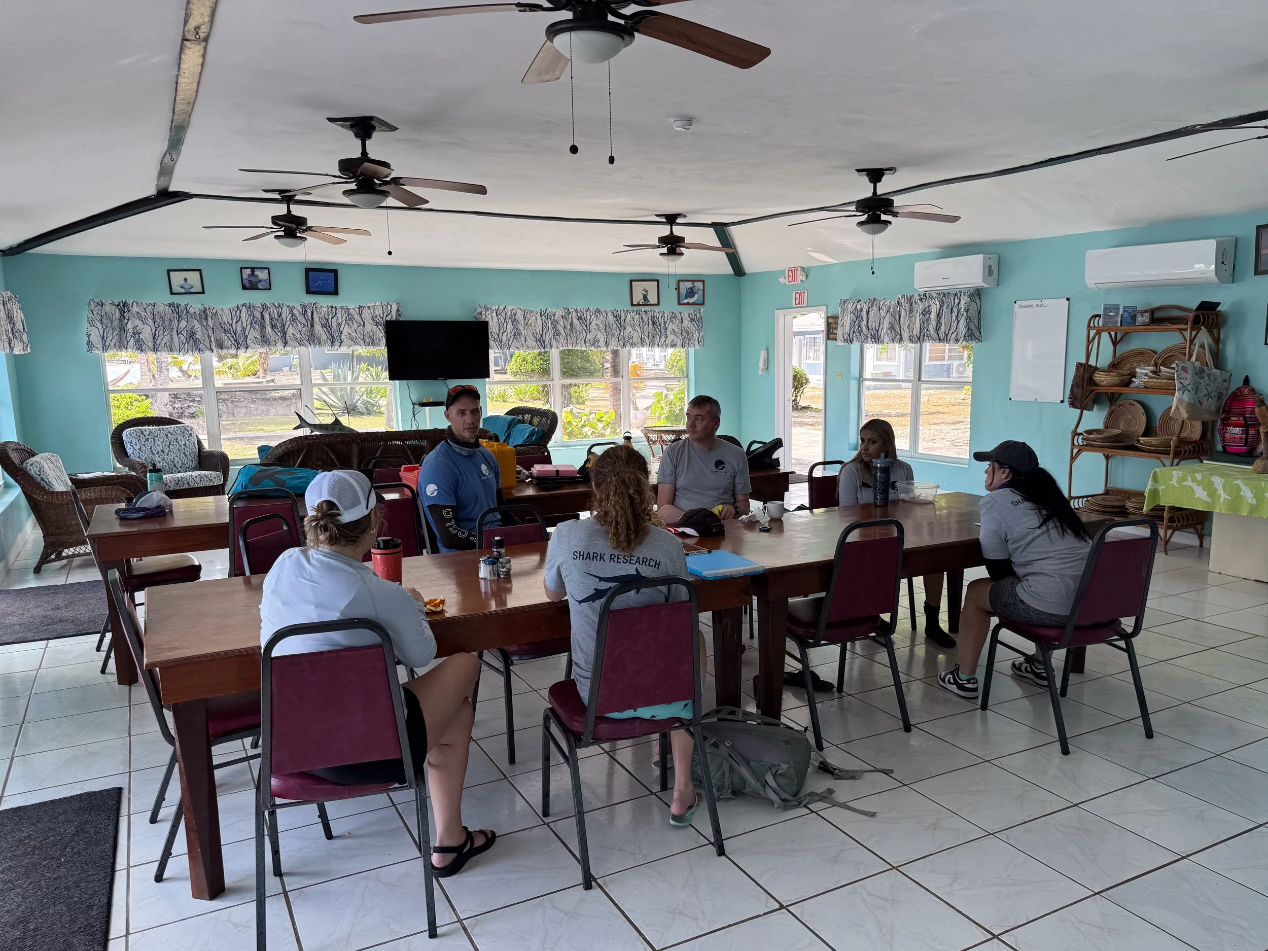 Saving the Blue - 501 c 3 - Nonprofit - Sharks - Shark - Shark Tag - Shark Tagging - Marine Biology - Shark Research - Bahamas - Florida - Shark Researcher - Shark Clothing - Shark Nonprofit - Help Sharks - Save Sharks - Hammerhead - Bull - Tiger