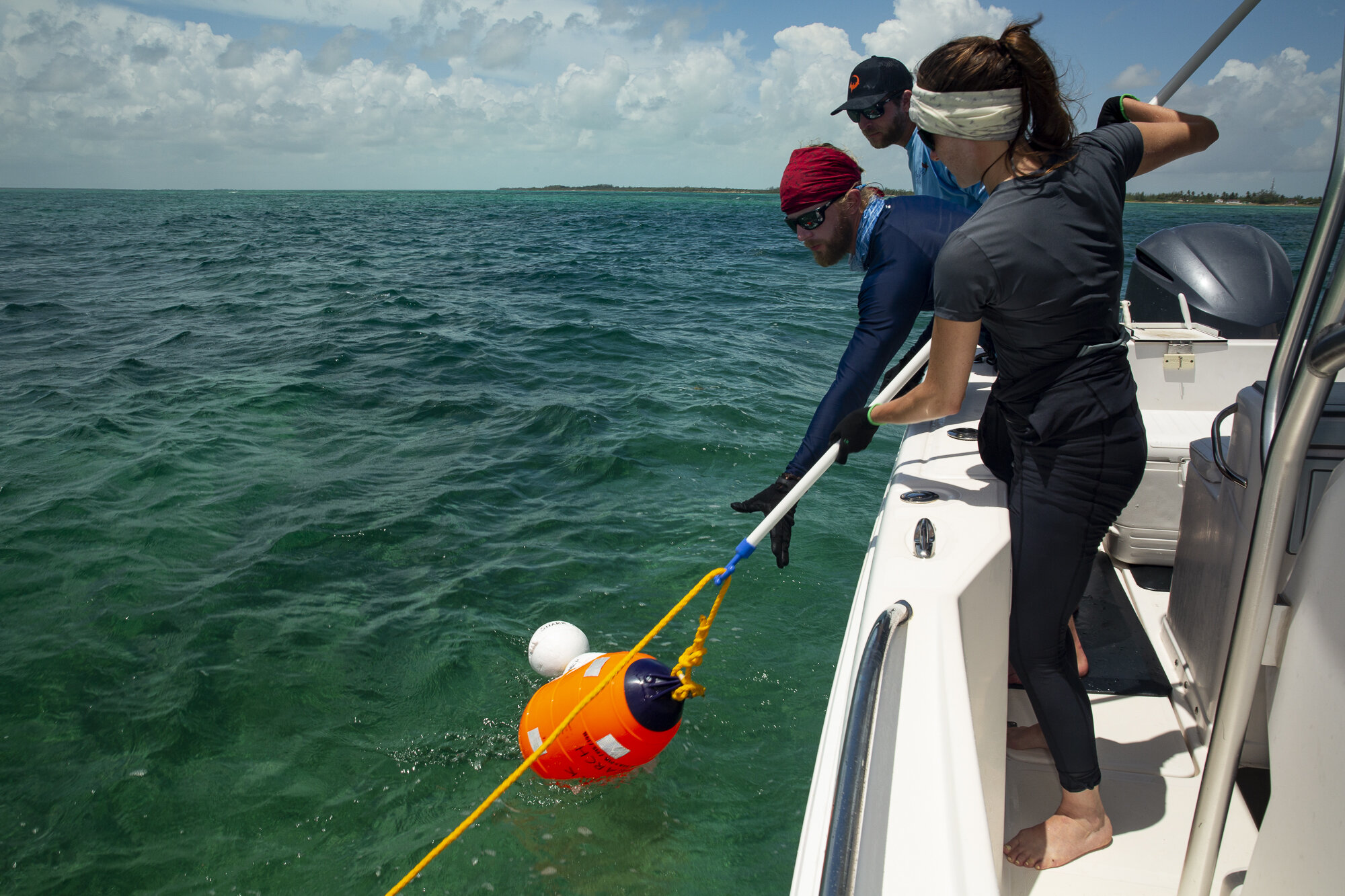 saving the blue - silky shark - annie guttridge - dr tristan guttridge - silky sharks - shark -shark - shark research - science - marine biology - andros - bahamas - diving - diver - green living - school - eco tourism - gillnet - drum lining .jpg