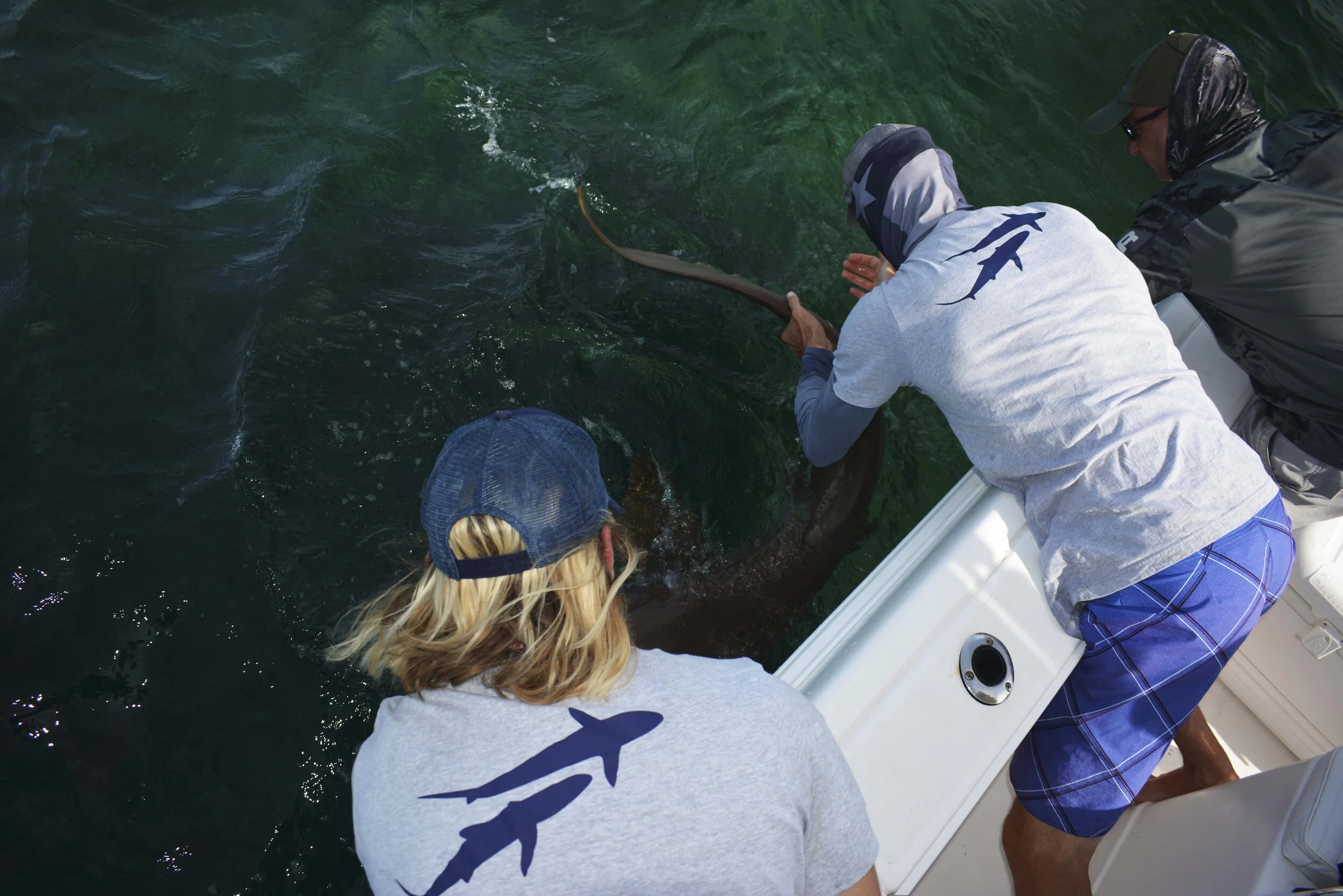 Nurse Shark Adoption