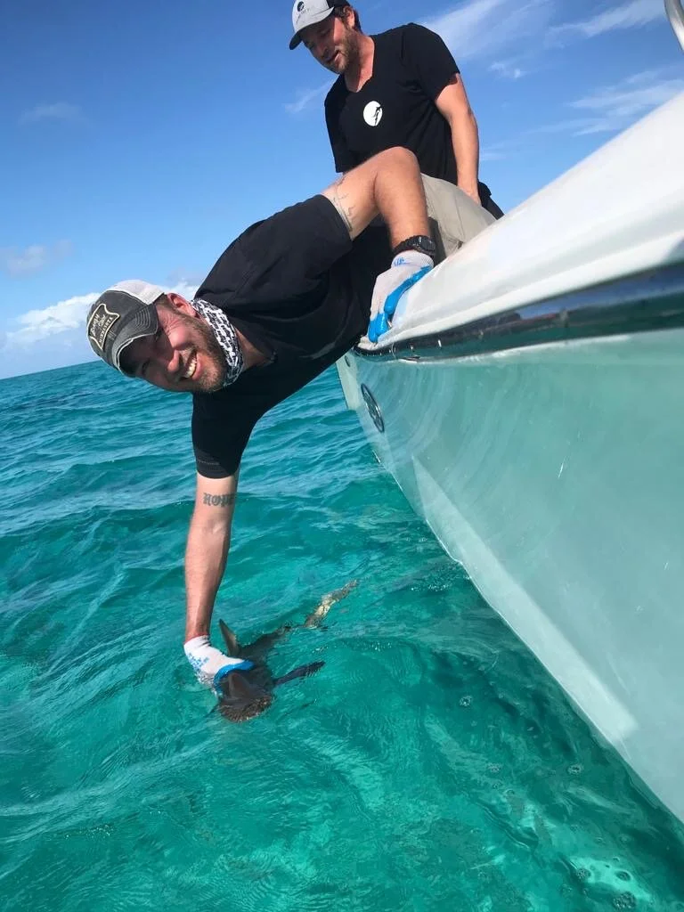 16th Nov 17. 53pm.JPG