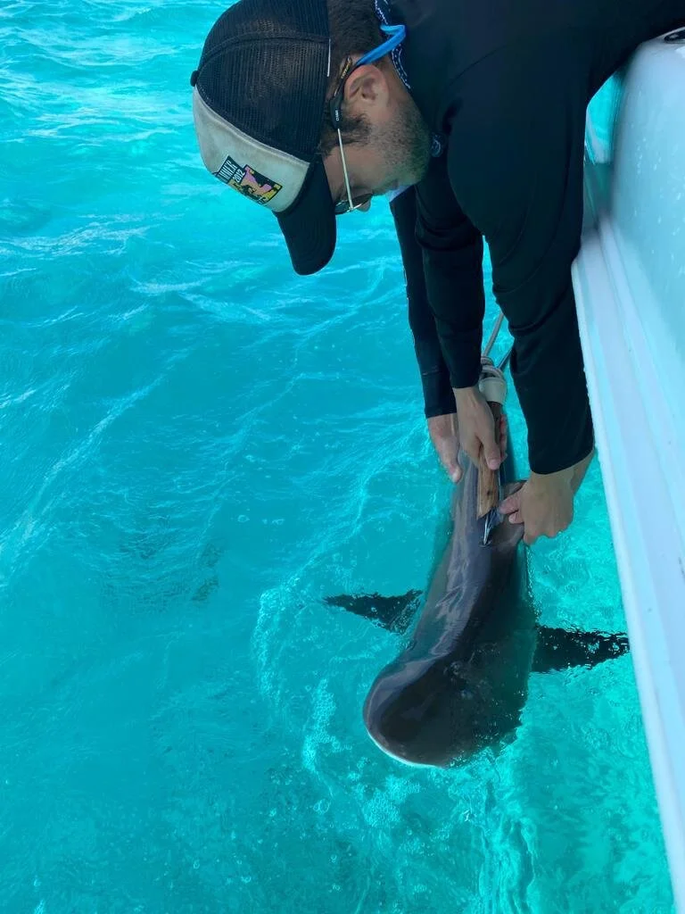 28th Oct 2020 9.47am .JPG