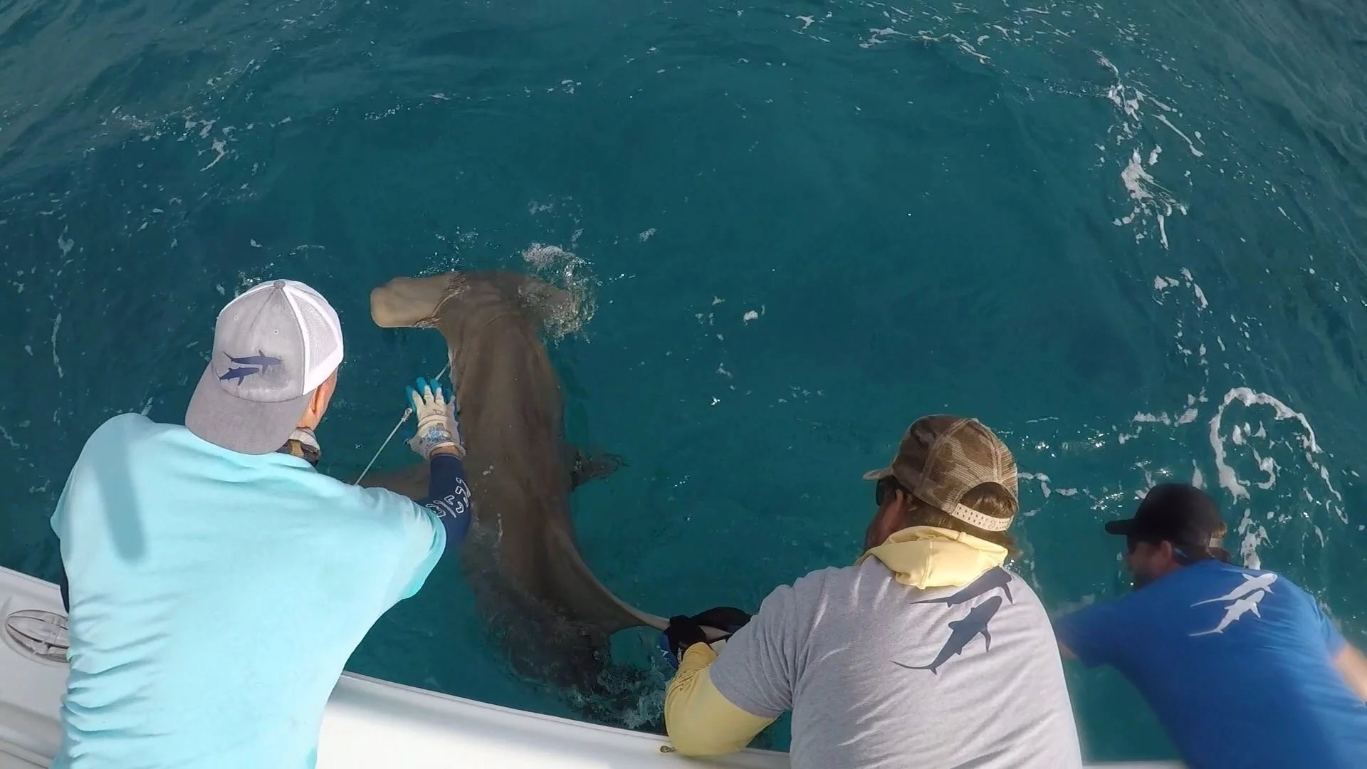 GPTempDownload 9.JPG