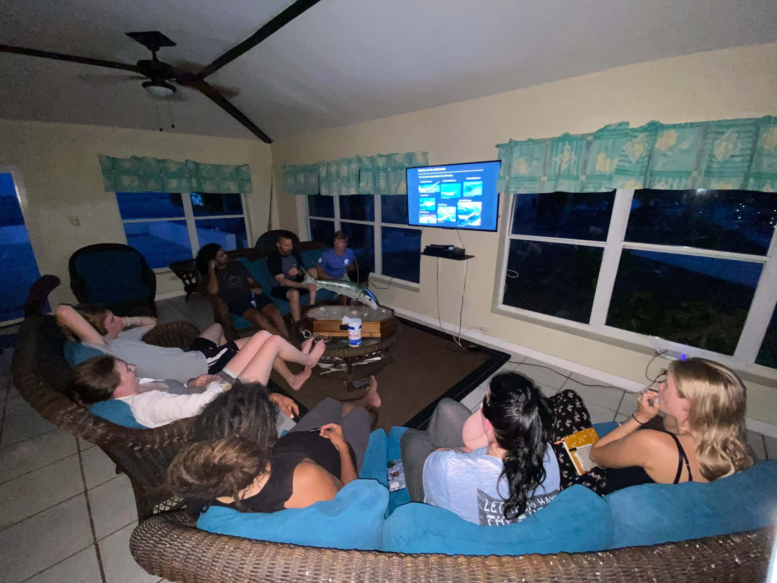 Saving the Blue - Annie Guttridge - Vital Heim - Sharks - Shark -Bahamas - Great Hammerhead - Caribbean Reef Shark - Nurse Shark - Nonprofit - 501c3 - Shark Research - Marine Biology - Shark Tagging - Marine Bio  - Lecture