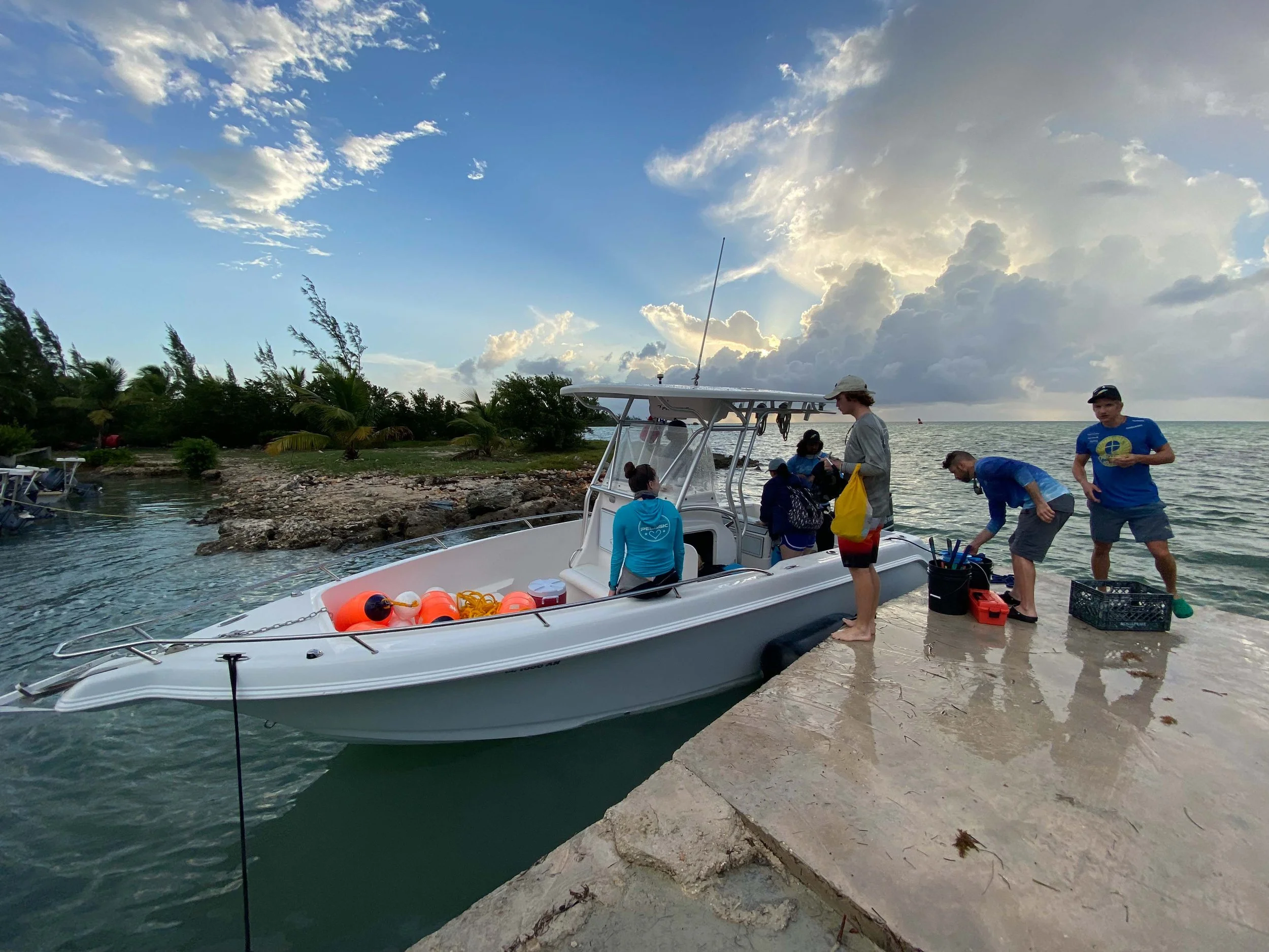 Saving the Blue - Annie Guttridge - Vital Heim - Sharks - Shark -Bahamas - Great Hammerhead - Caribbean Reef Shark - Nurse Shark - Nonprofit - 501c3 - Shark Research - Marine Biology - Shark Tagging - Marine Bio  - Lecture