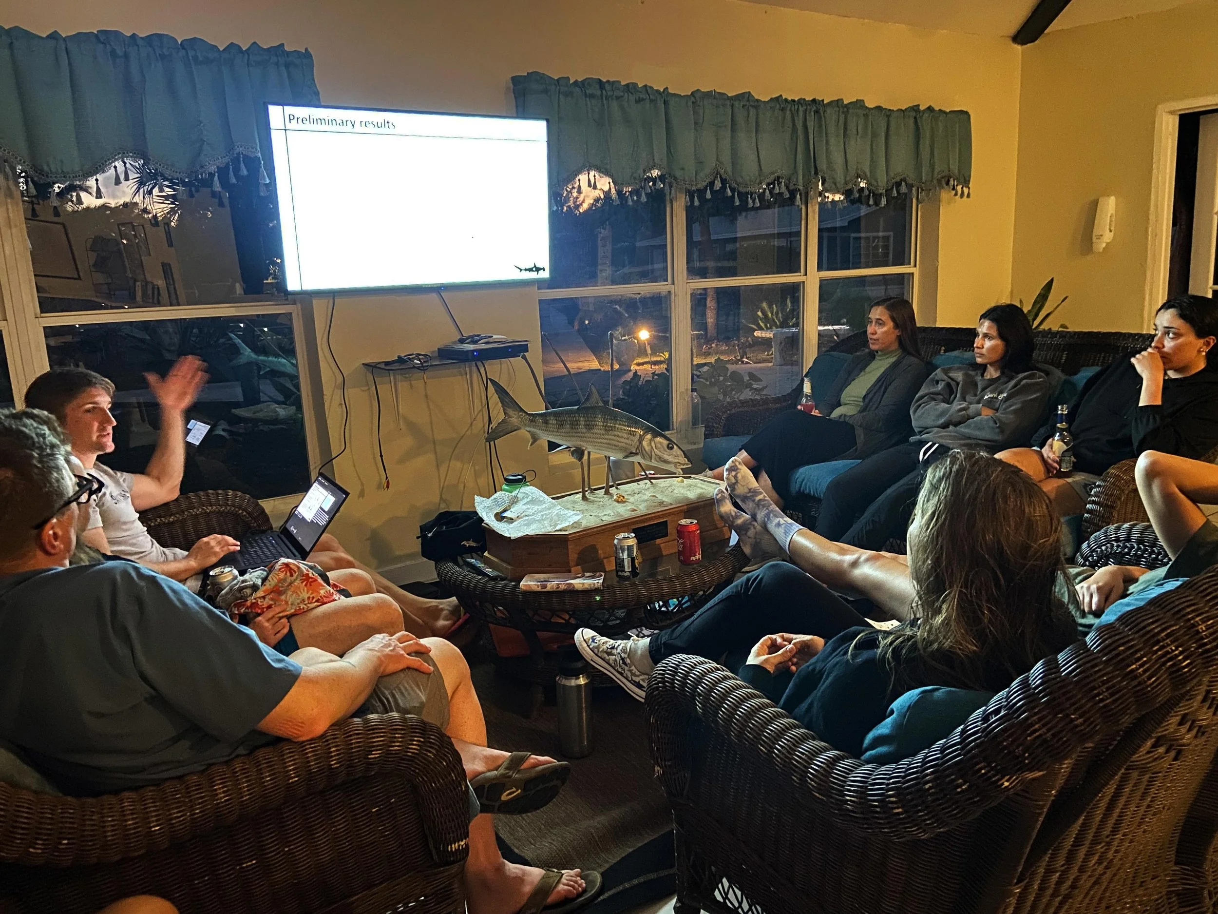 Saving the Blue - Nonprofit - 501c3 - Sharks - Shark - Shark Research - Shark Science - Shark Tagging - Lemon Shark - Great Hammerhead Shark - Silky Shark - Sawfish - Andros - The Bahamas