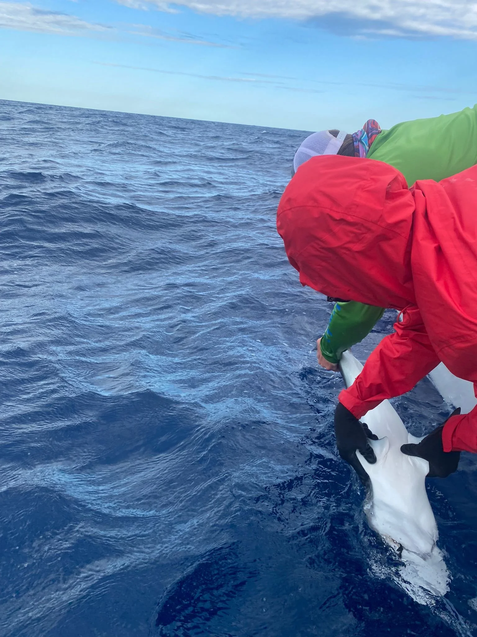 F - Casey - 406268.JPG