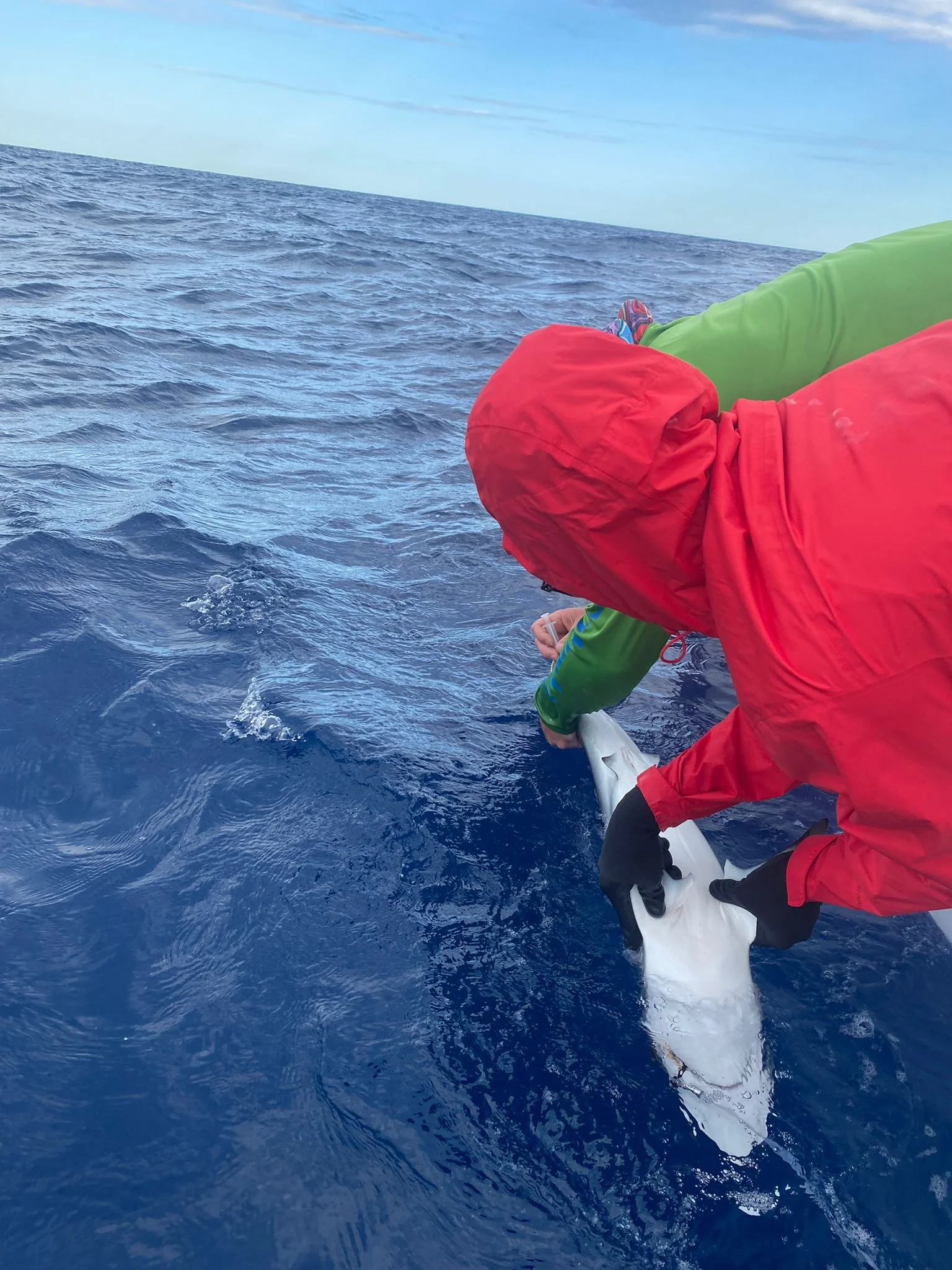 M - Casey 406285.JPG