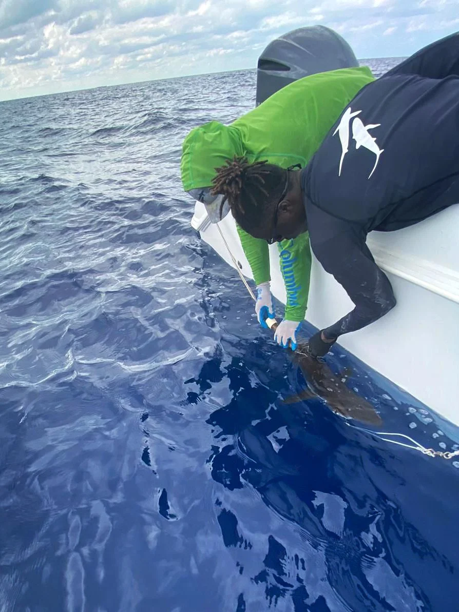 F - PIT - 3DD.003DEE9F01 - 1.JPG