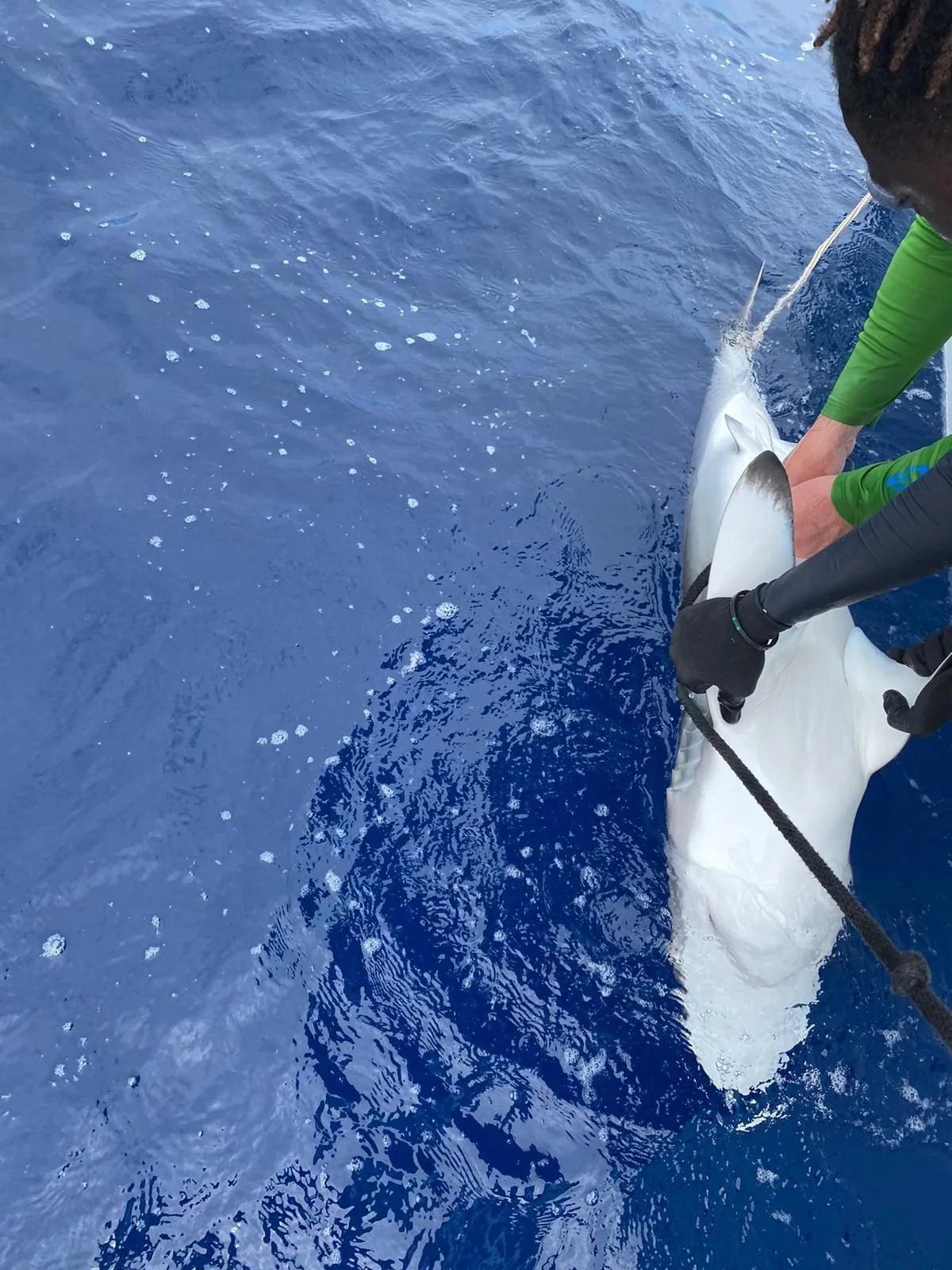 M - ACC - 59755-1399767 - 145cm - 2.JPG