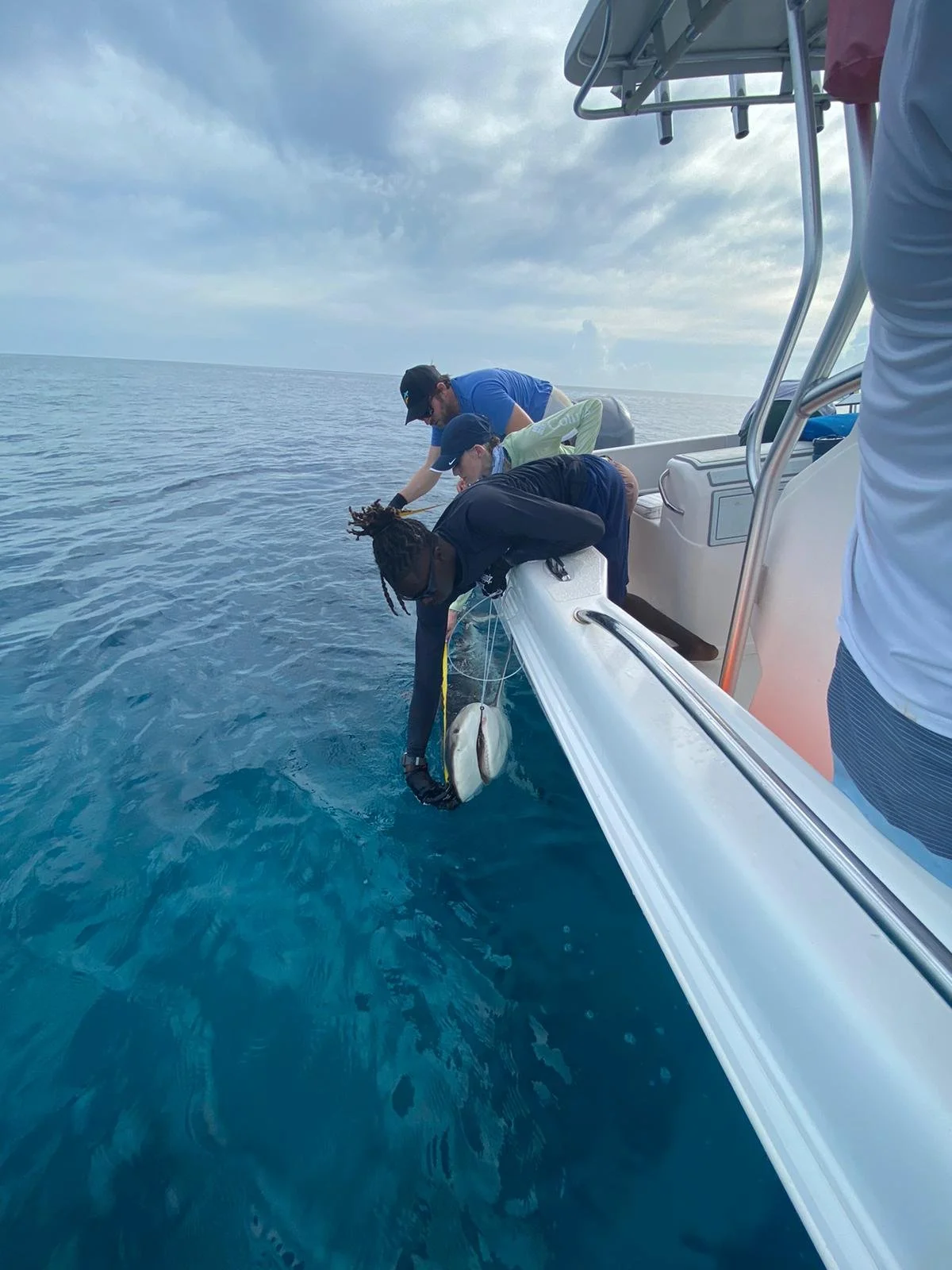 reef 25th june 930 1.JPG