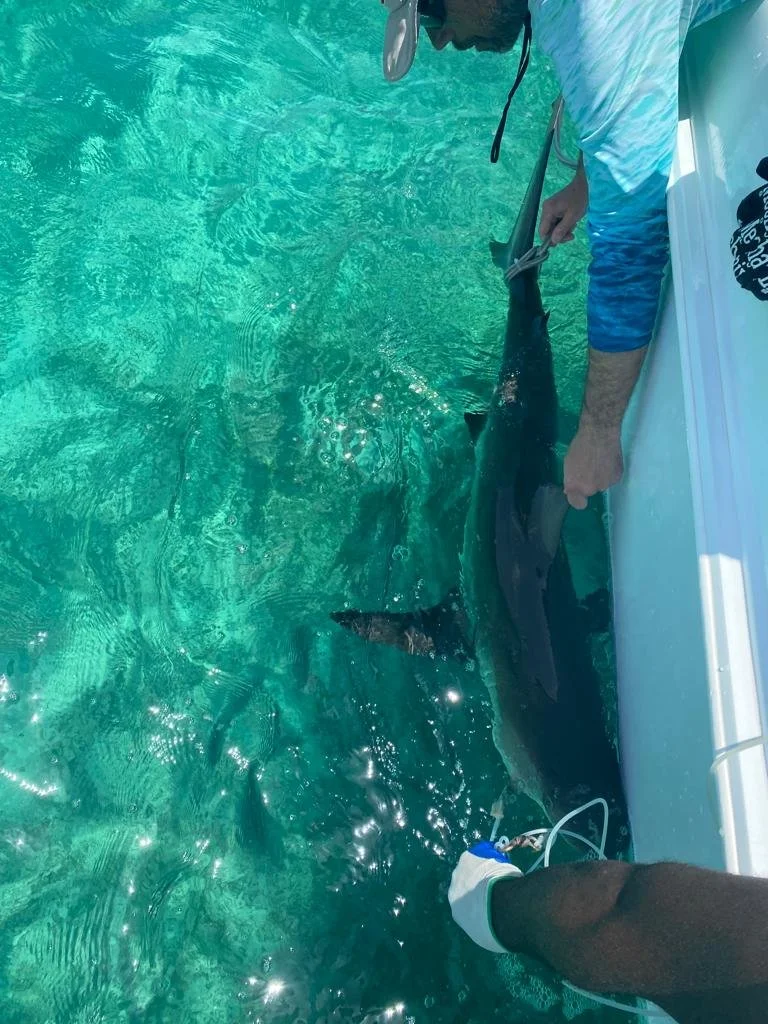 29th reef 1026.JPG