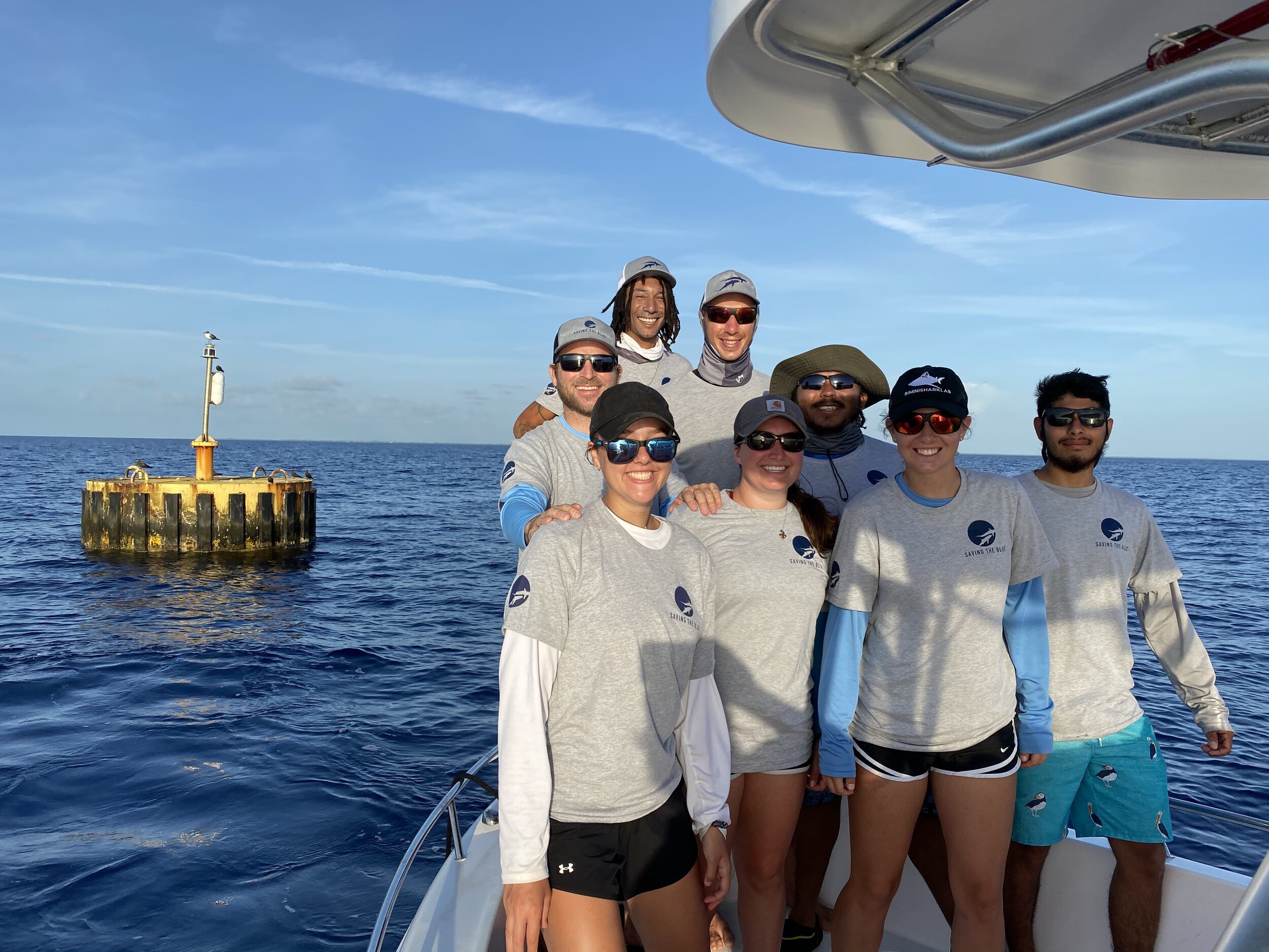 saving the blue - shark - sharks - shark research - shark course - marine biology - hammerhead - 501c3 - not for profit - bahamas - florida - shark certificate - nonprofit