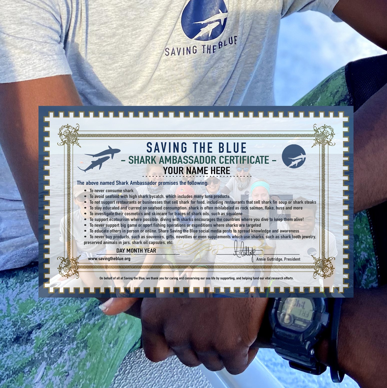 saving the blue - shark - sharks - shark research - shark course - marine biology - hammerhead - 501c3 - not for profit - bahamas - florida - shark certificate - nonprofit