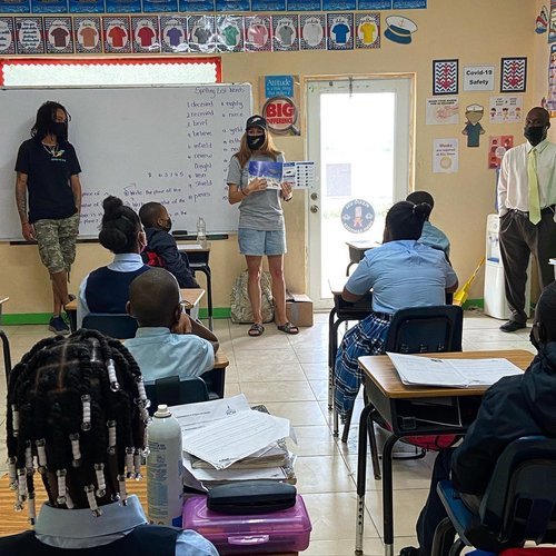 saving the blue - shark - sharks - shark research - shark course - marine biology - hammerhead - 501c3 - not for profit - bahamas - florida - shark certificate - nonprofit