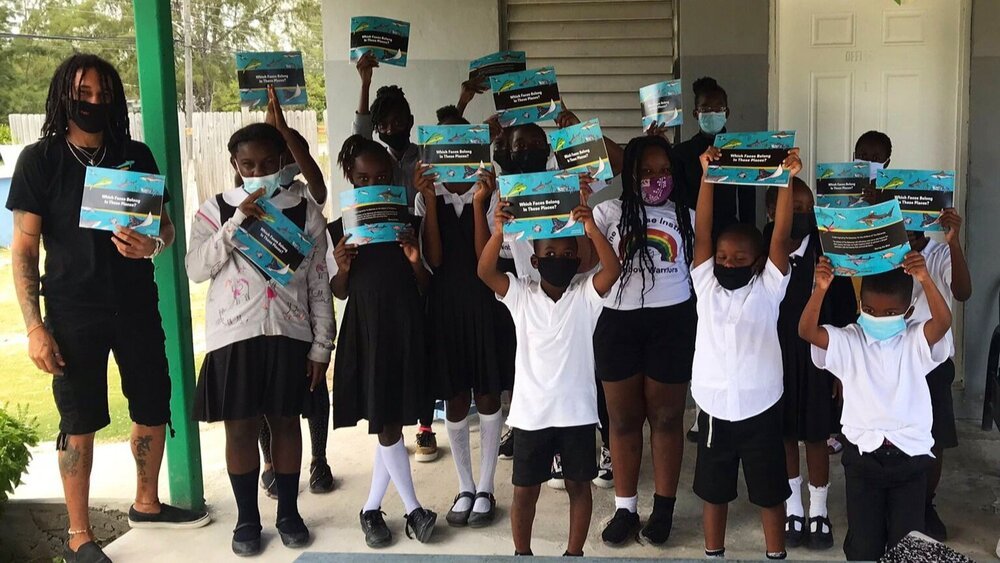 saving the blue - shark - sharks - shark research - shark course - marine biology - hammerhead - 501c3 - not for profit - bahamas - florida - shark certificate - nonprofit