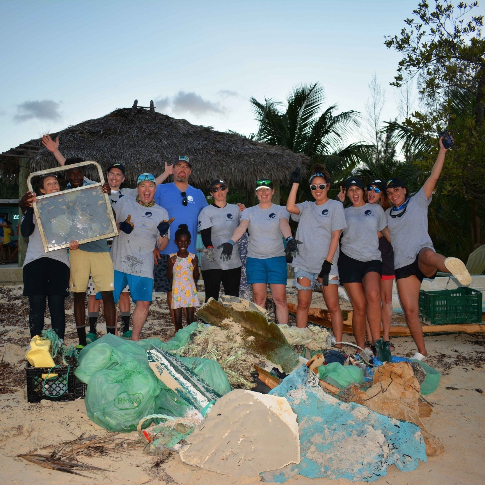 saving the blue - shark - sharks - shark research - shark course - marine biology - hammerhead - 501c3 - not for profit - bahamas - florida - shark certificate - nonprofit