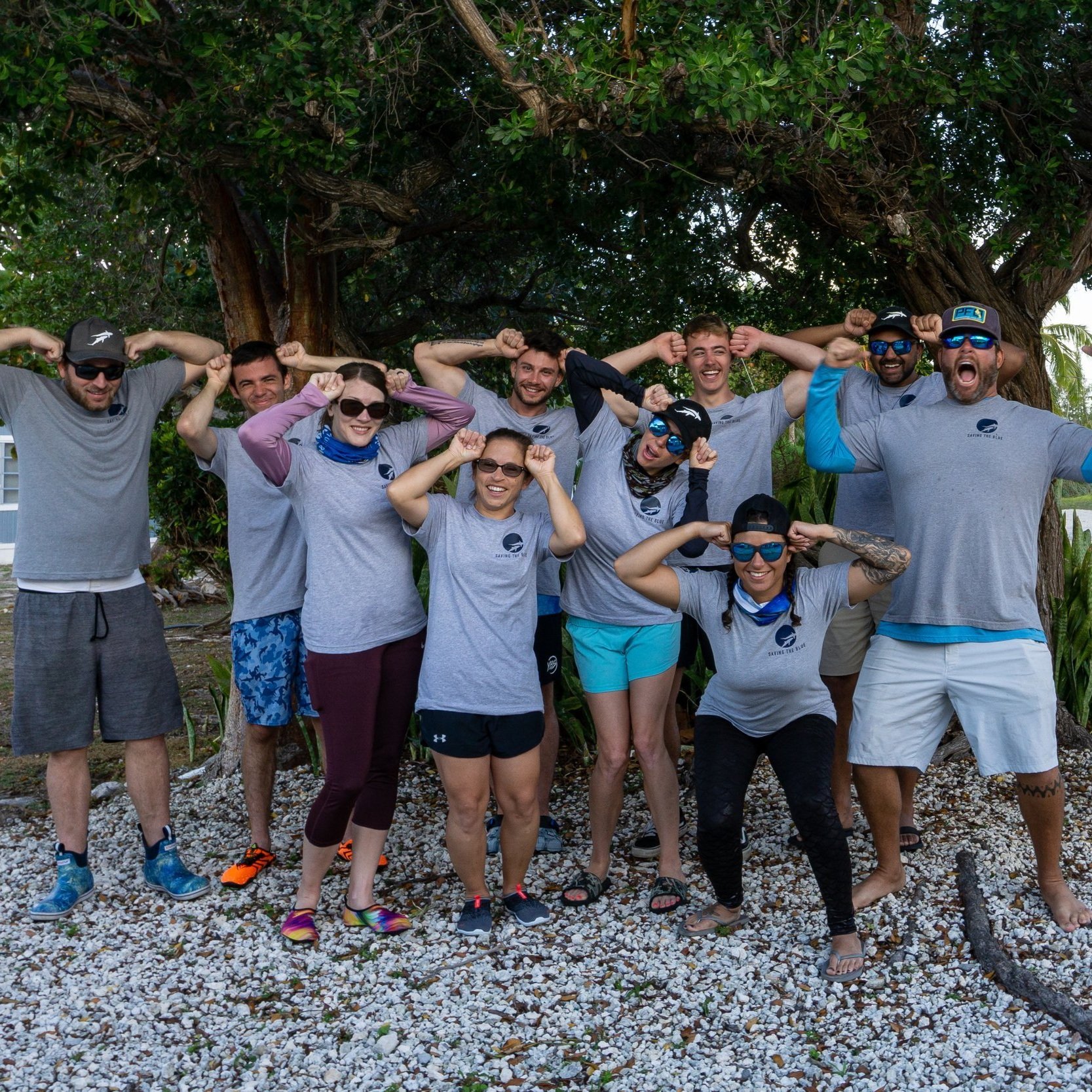 saving the blue - shark - sharks - shark research - shark course - marine biology - hammerhead - 501c3 - not for profit - bahamas - florida - shark certificate - nonprofit