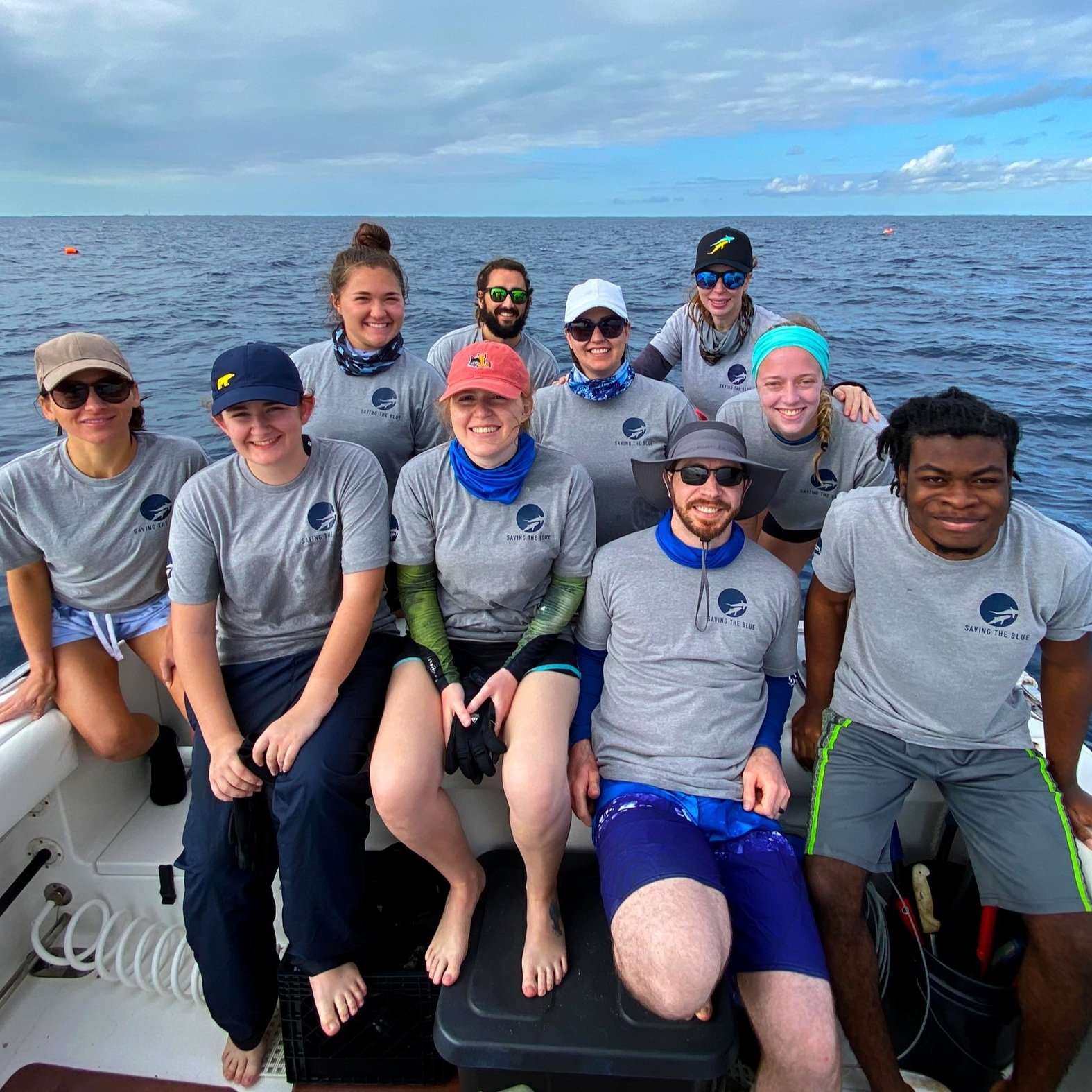 saving the blue - shark - sharks - shark research - shark course - marine biology - hammerhead - 501c3 - not for profit - bahamas - florida - shark certificate - nonprofit