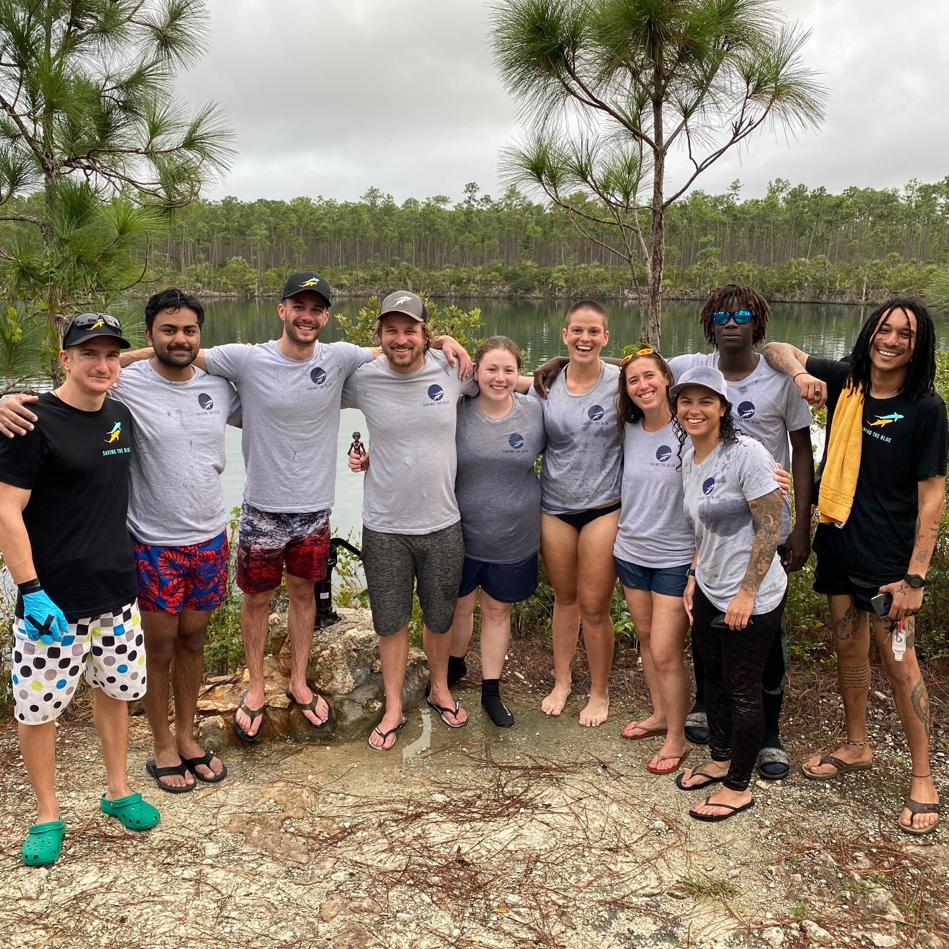 saving the blue - shark - sharks - shark research - shark course - marine biology - hammerhead - 501c3 - not for profit - bahamas - florida - shark certificate - nonprofit