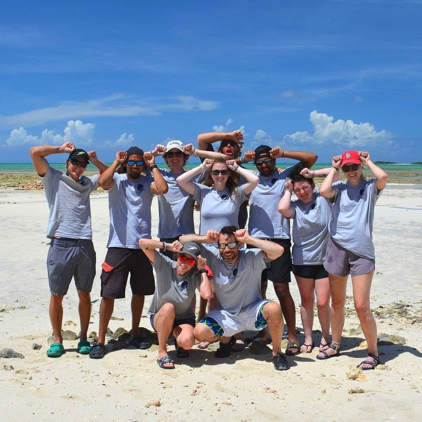 saving the blue - shark - sharks - shark research - shark course - marine biology - hammerhead - 501c3 - not for profit - bahamas - florida - shark certificate - nonprofit