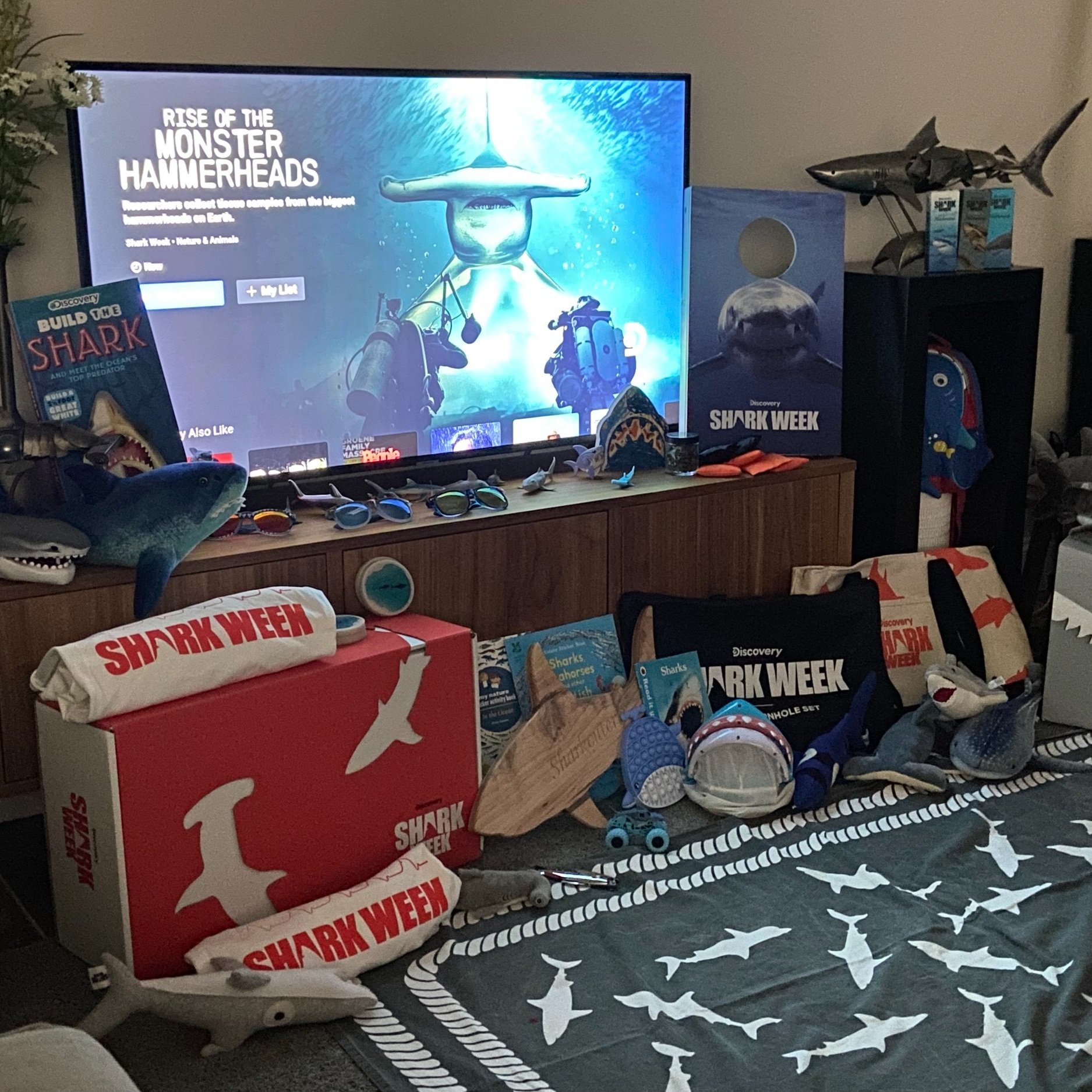 saving the blue - shark - sharks - shark research - shark course - marine biology - hammerhead - 501c3 - shark obsessed - bahamas - florida - shark certificate - nonprofit - i love sharks