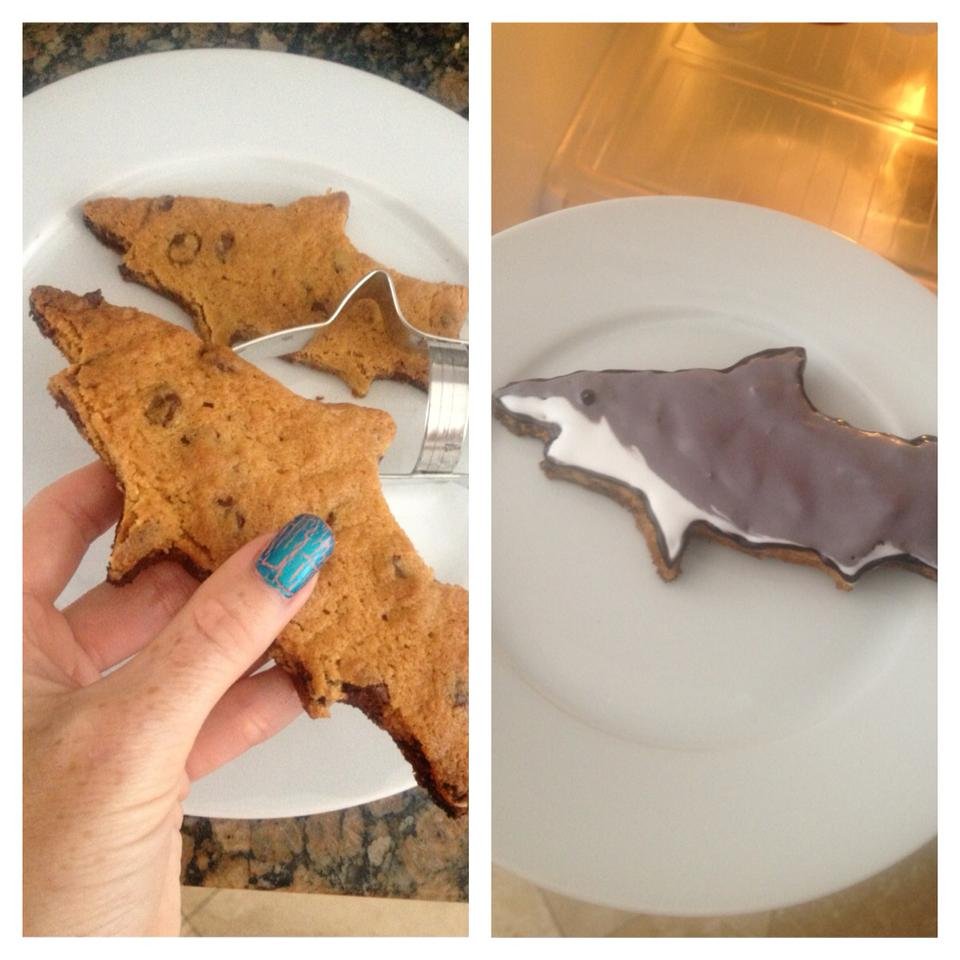 saving the blue - shark - sharks - shark research - shark course - marine biology - hammerhead - 501c3 - shark obsessed - bahamas - florida - shark certificate - nonprofit - i love sharks