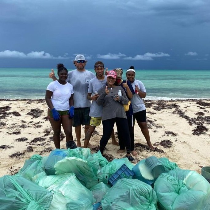 saving the blue - shark - sharks - shark research - shark course - marine biology - hammerhead - 501c3 - not for profit - bahamas - florida - shark certificate - nonprofit