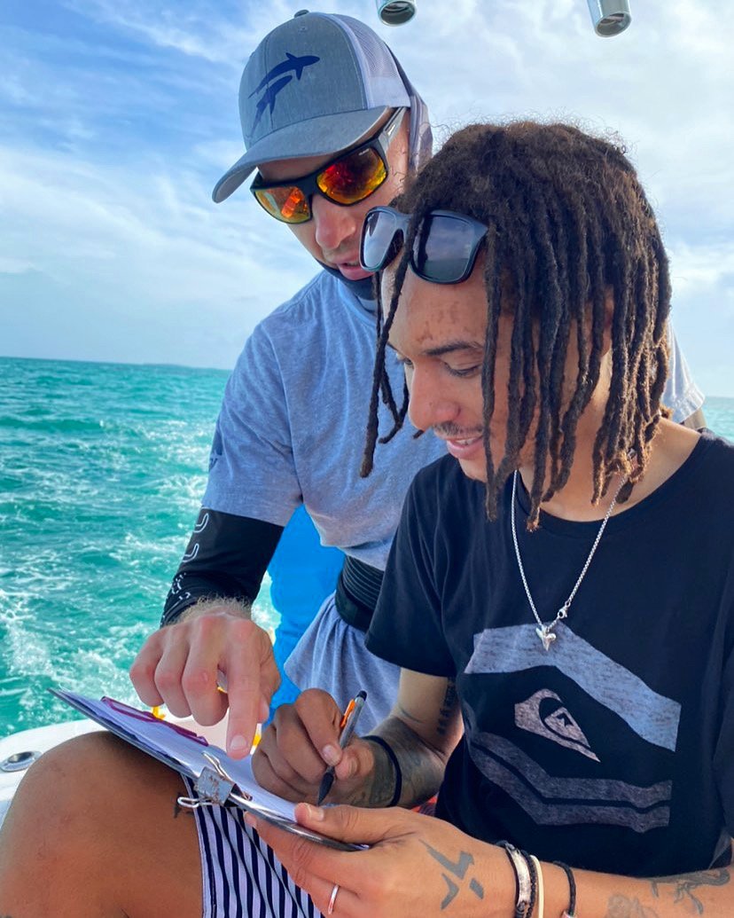 saving the blue - shark - sharks - shark research - shark course - marine biology - hammerhead - 501c3 - not for profit - bahamas - florida - shark certificate - nonprofit