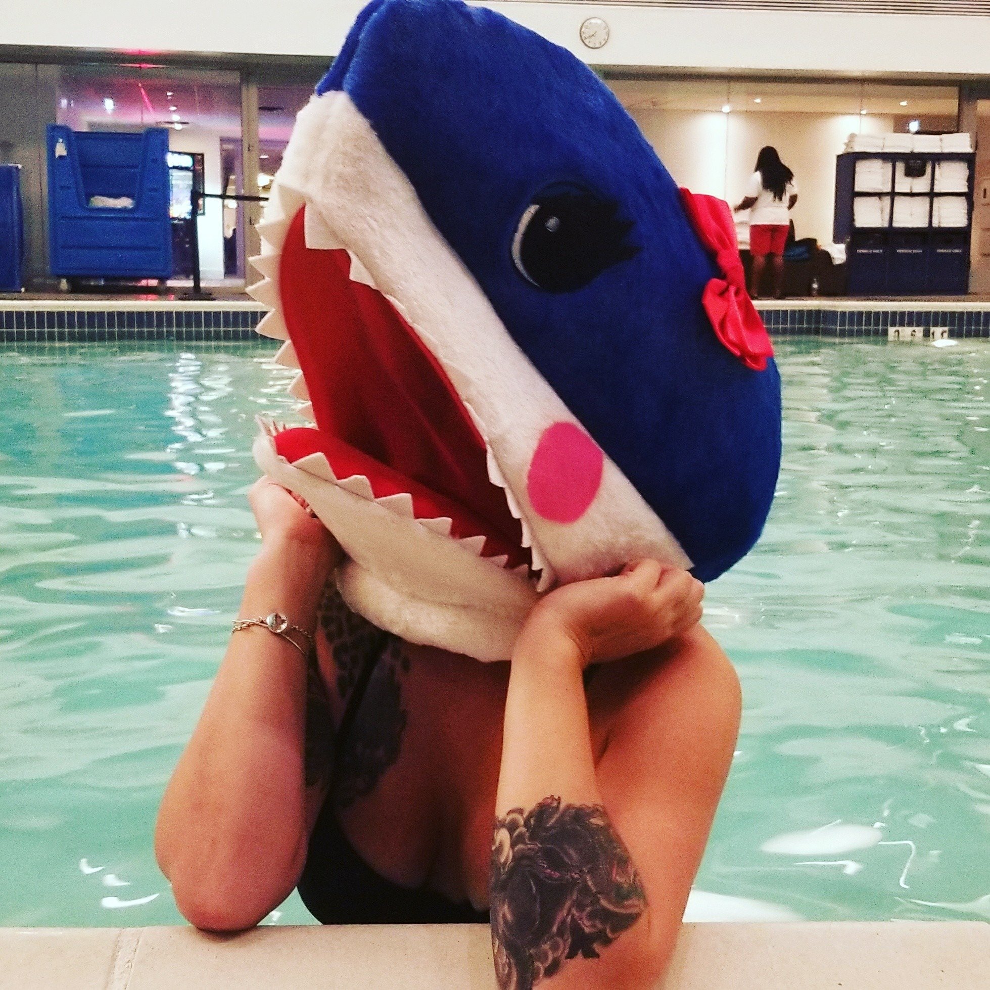saving the blue - shark - sharks - shark research - shark course - marine biology - hammerhead - 501c3 - shark obsessed - bahamas - florida - shark certificate - nonprofit - i love sharks