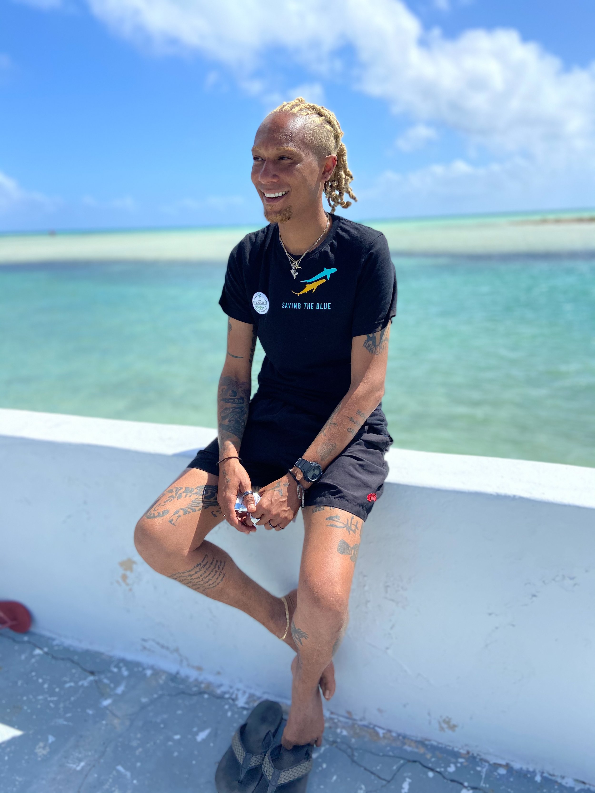 saving the blue - shark - sharks - shark research - shark course - marine biology - hammerhead - 501c3 - not for profit - bahamas - florida - shark certificate - nonprofit