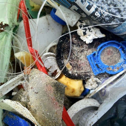 Saving+the+Blue+-+501+c+3+-+Non+profit+-+Nonprofit+-+Not+for+Profit+-+Beach+Clean+-+Clean+up+-+Trash+-+Sharks+-+Shark+-+Green+Living+-+Florida+-+USA+-+Environment++-+Marine+Biology+-+Marine+Bio+-+Micro+Plastics+-+Plastic+Pollution+-+Nature.jpeg