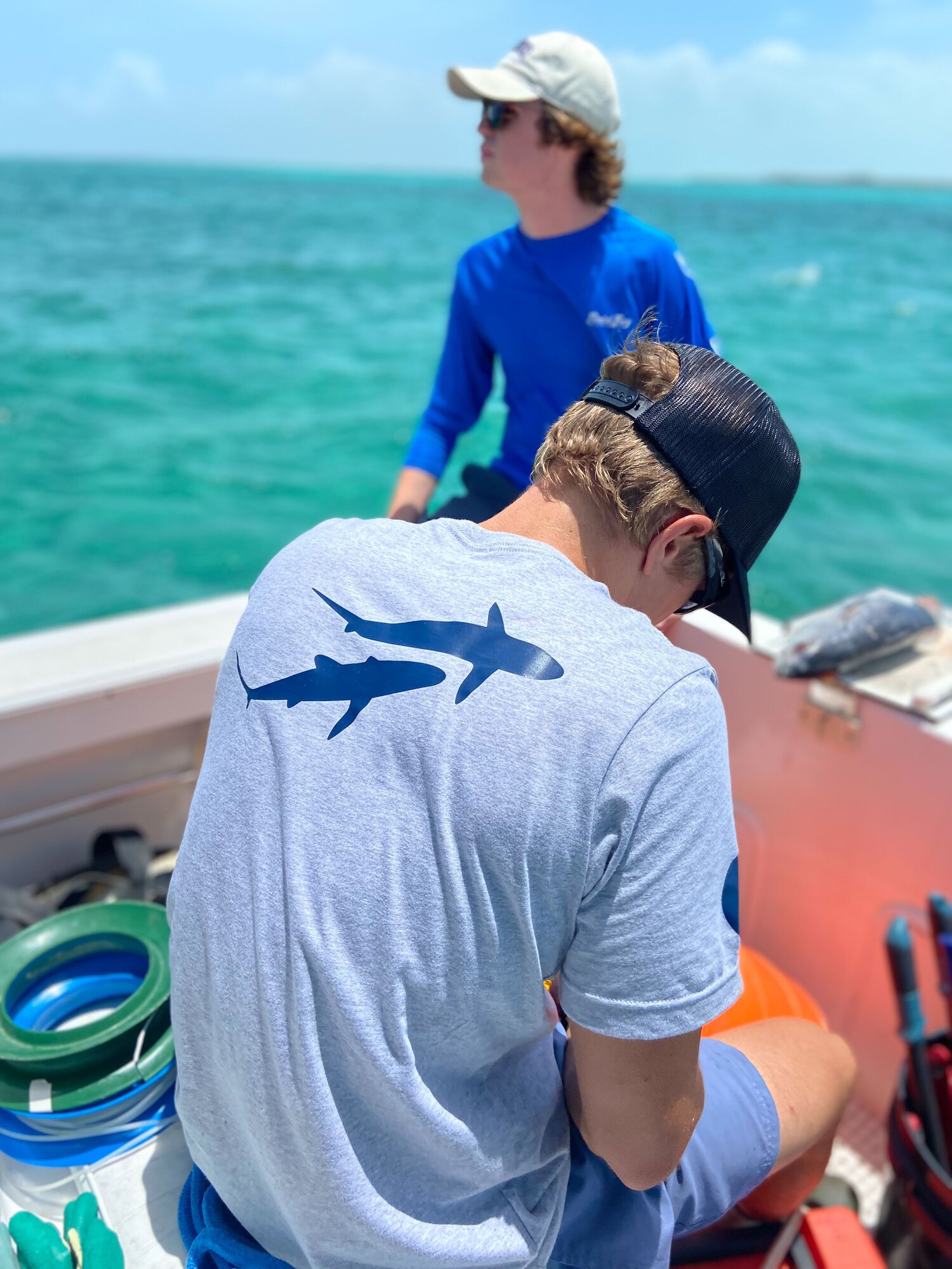 saving the blue - shark - sharks - shark research - marine biology - hammerhead - 501c3 - not for profit - shark clothing - shark t-shirt - nonprofit - shark week