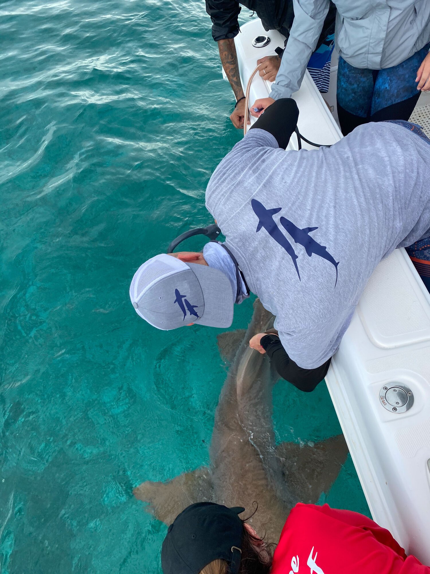 saving the blue - shark - sharks - shark research - marine biology - hammerhead - 501c3 - not for profit - shark clothing - shark t-shirt - nonprofit - shark week