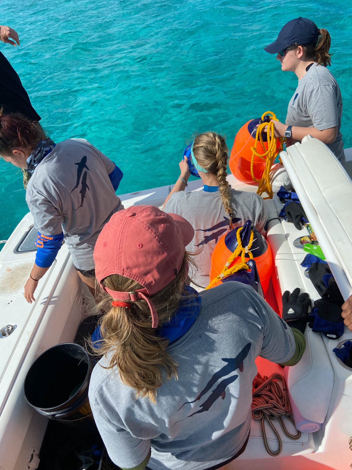 saving the blue - shark - sharks - shark research - marine biology - hammerhead - 501c3 - not for profit - shark clothing - shark t-shirt - nonprofit - shark week