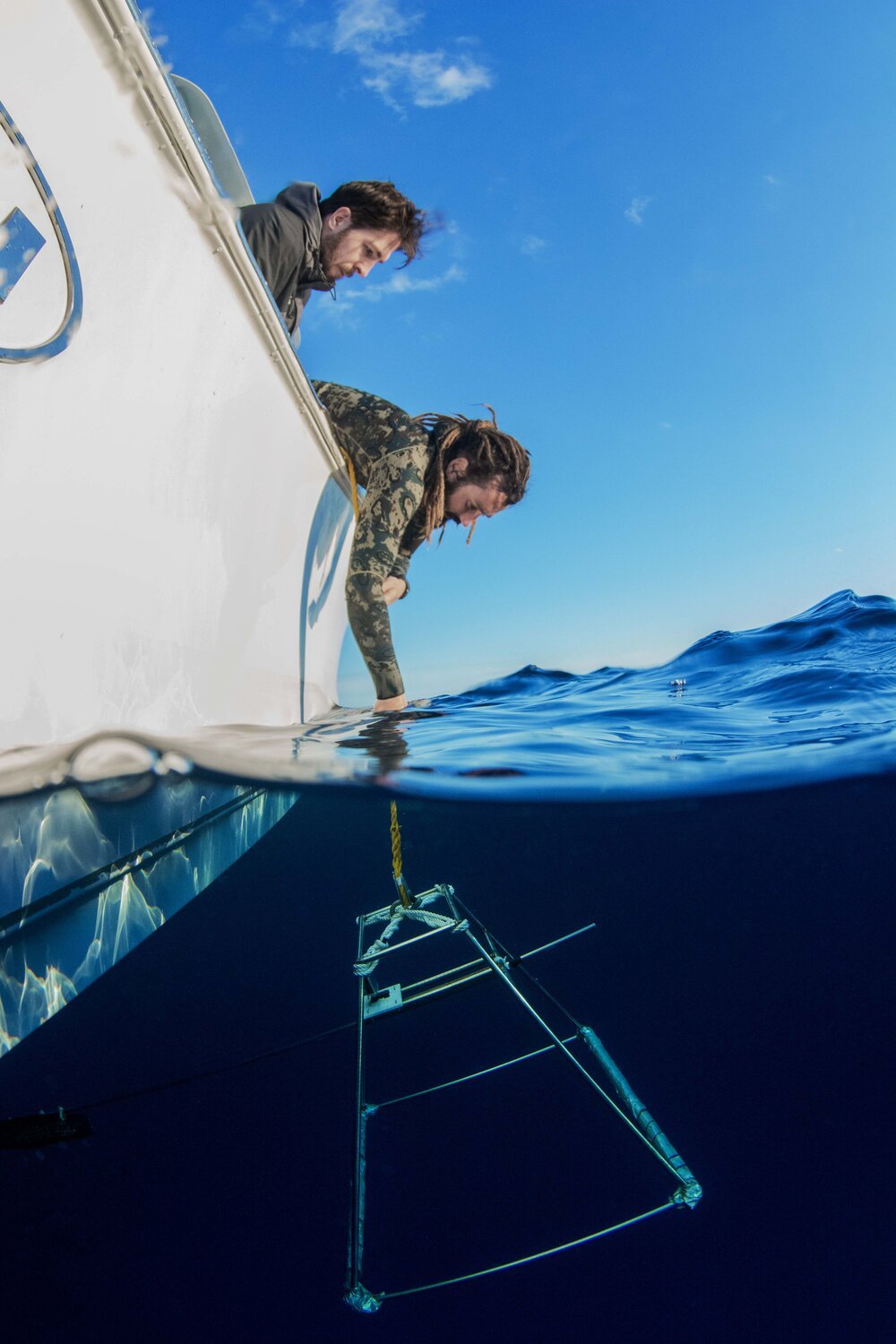 Bryan Keller - Shark Research - Hammerhead - Saving the Blue - Shark - Shark Course - Online Learning - Marine Biology - Shark Tagging - Shark Tag - Lecture - Presentation - Great White Shark - Sharks