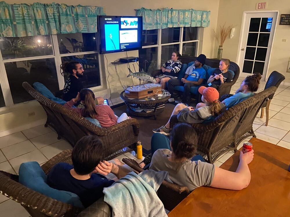 Bryan Keller - Shark Research - Hammerhead - Saving the Blue - Shark - Shark Course - Online Learning - Marine Biology - Shark Tagging - Shark Tag - Lecture - Presentation - Great White Shark - Sharks