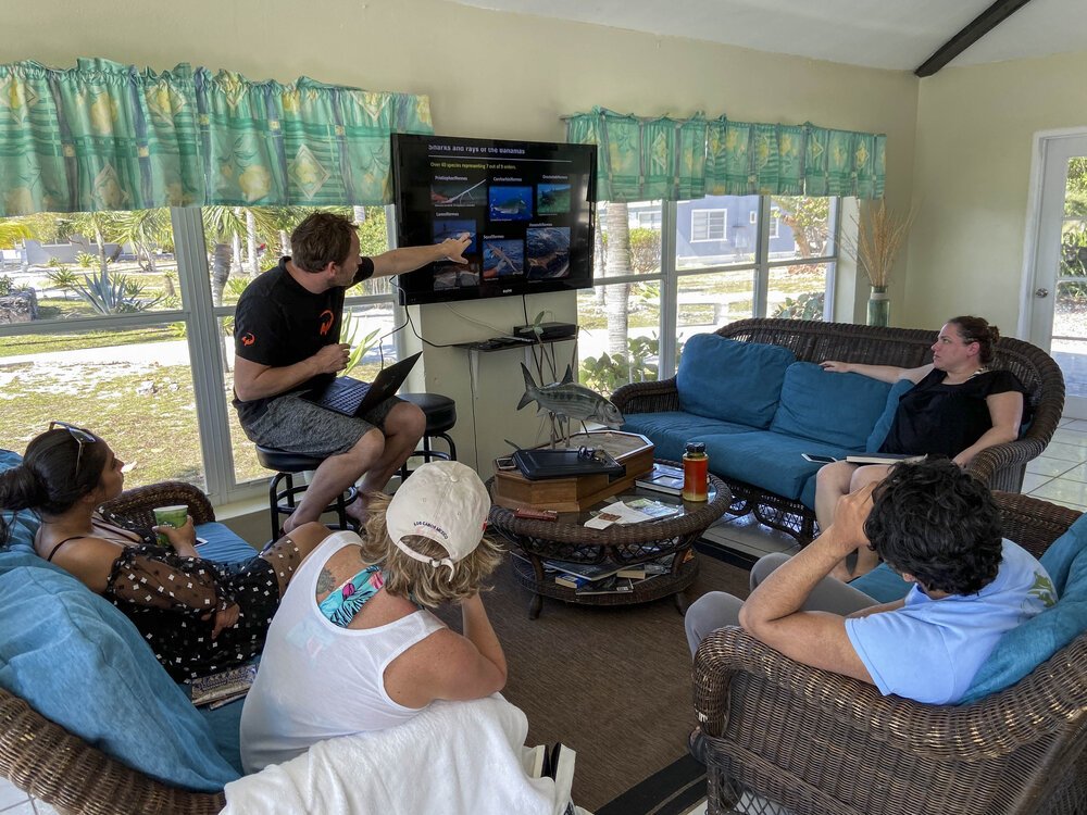 Tristan Guttridge - Shark Research - Hammerhead - Saving the Blue - Shark - Shark Course - Online Learning - Marine Biology - Shark Tagging - Shark Tag - Lecture - Presentation - Lemon Shark - Sharks