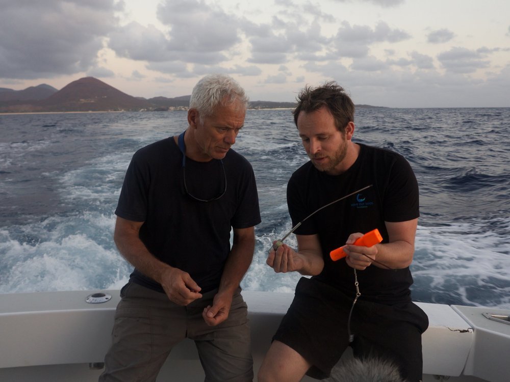 Tristan Guttridge - Shark Research - Hammerhead - Saving the Blue - Shark - Shark Course - Online Learning - Marine Biology - Shark Tagging - Shark Tag - Lecture - Presentation - Lemon Shark - Sharks