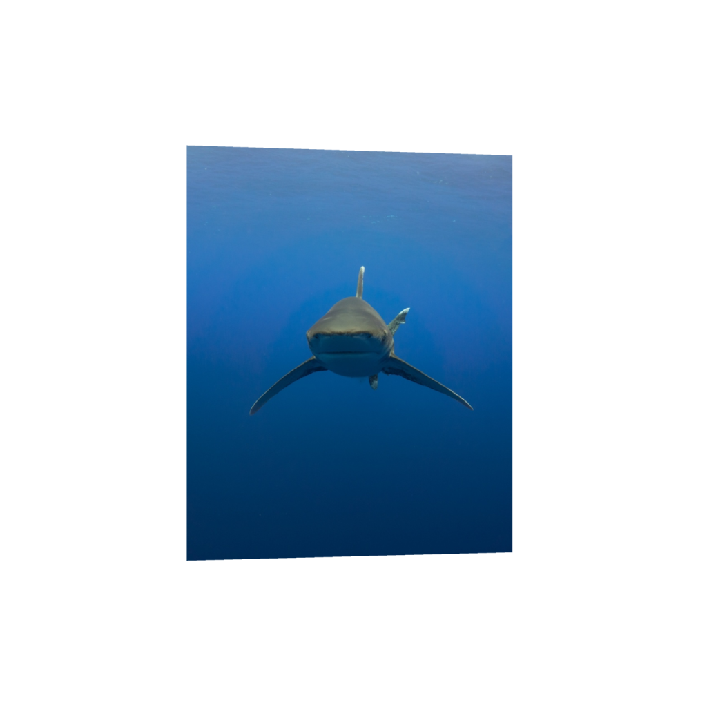 ptq_34_6_78_0_2368_2960_0_false_ffffff_0_0_.png