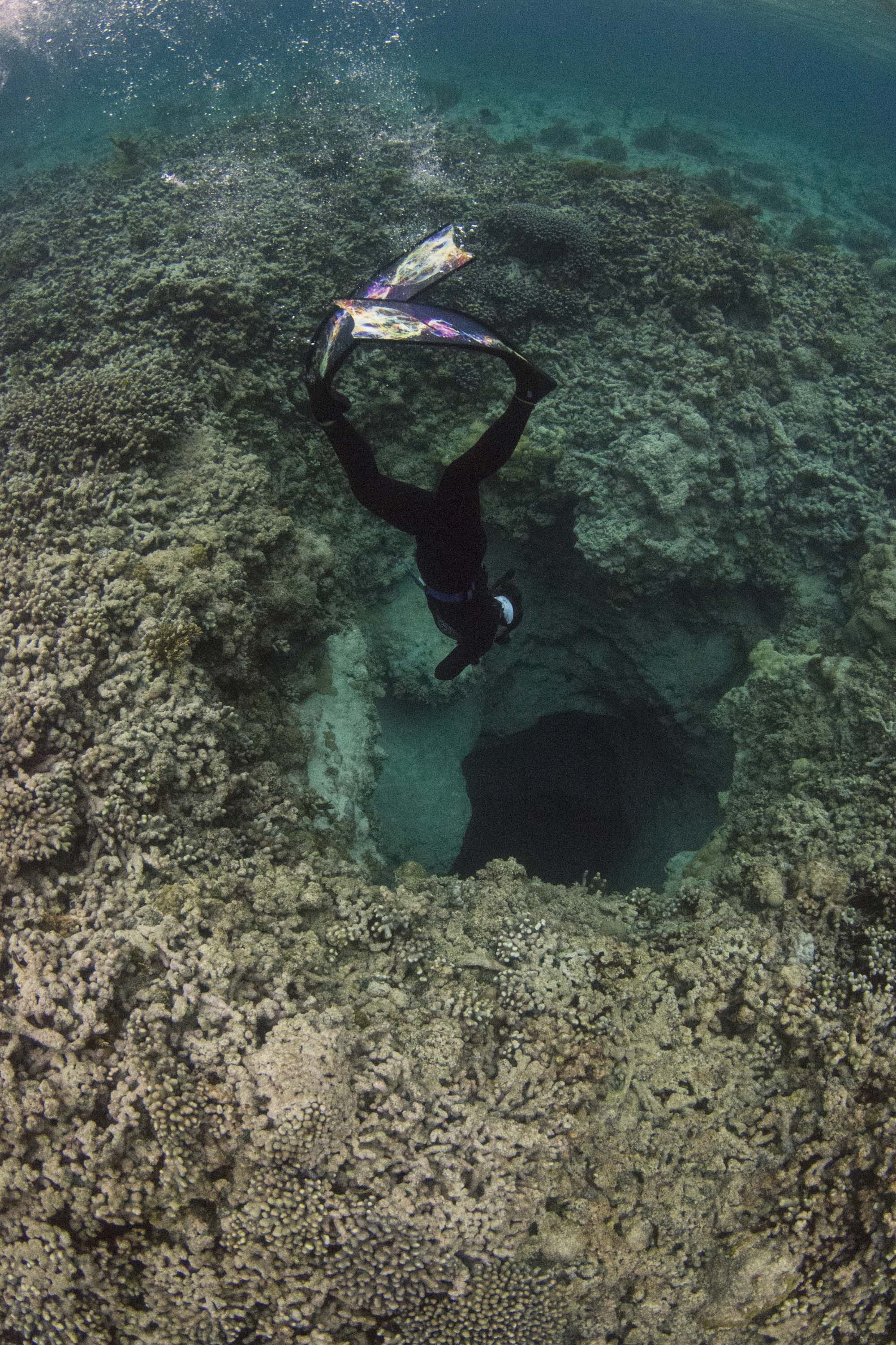 Diving.jpeg