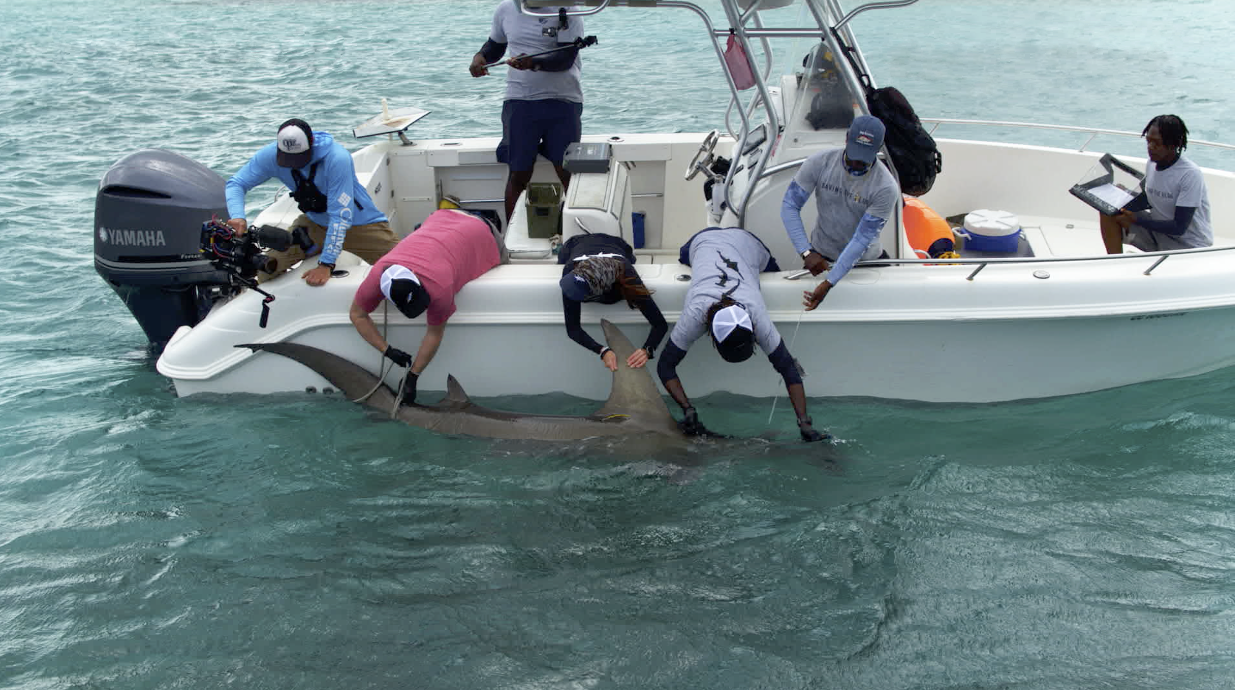 Screen Shot 2023-07-30 at 12.07.04 PM.PNG