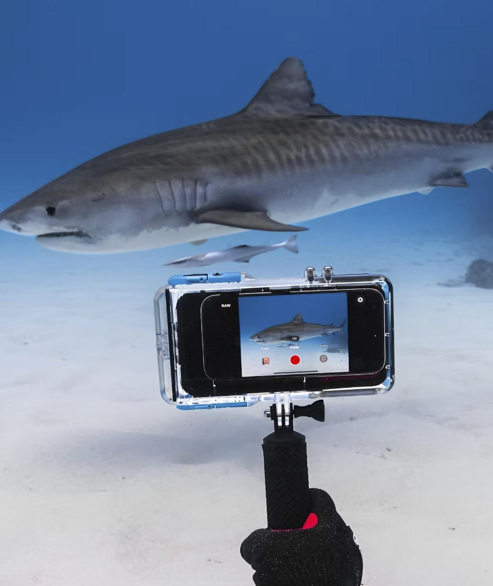 Screenshot 2026-04-24 at 7.22.52 PM.png