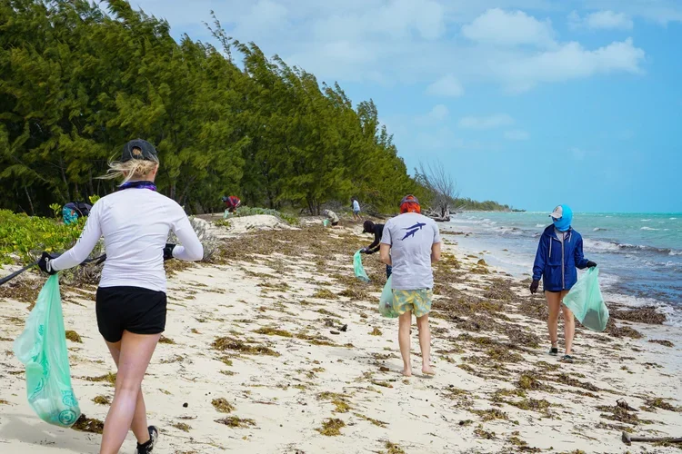 Saving+the+Blue+-+501+c+3+-+Non+profit+-+Nonprofit+-+Not+for+Profit+-+Beach+Clean+-+Clean+up+-+Trash+-+Sharks+-+Shark+-+Green+Living+-+The+Bahamas+-+Andros+-+Environment++-+Marine+Biology+-+Marine+Bio+-+Shark+Research+-+Nature (2).webp
